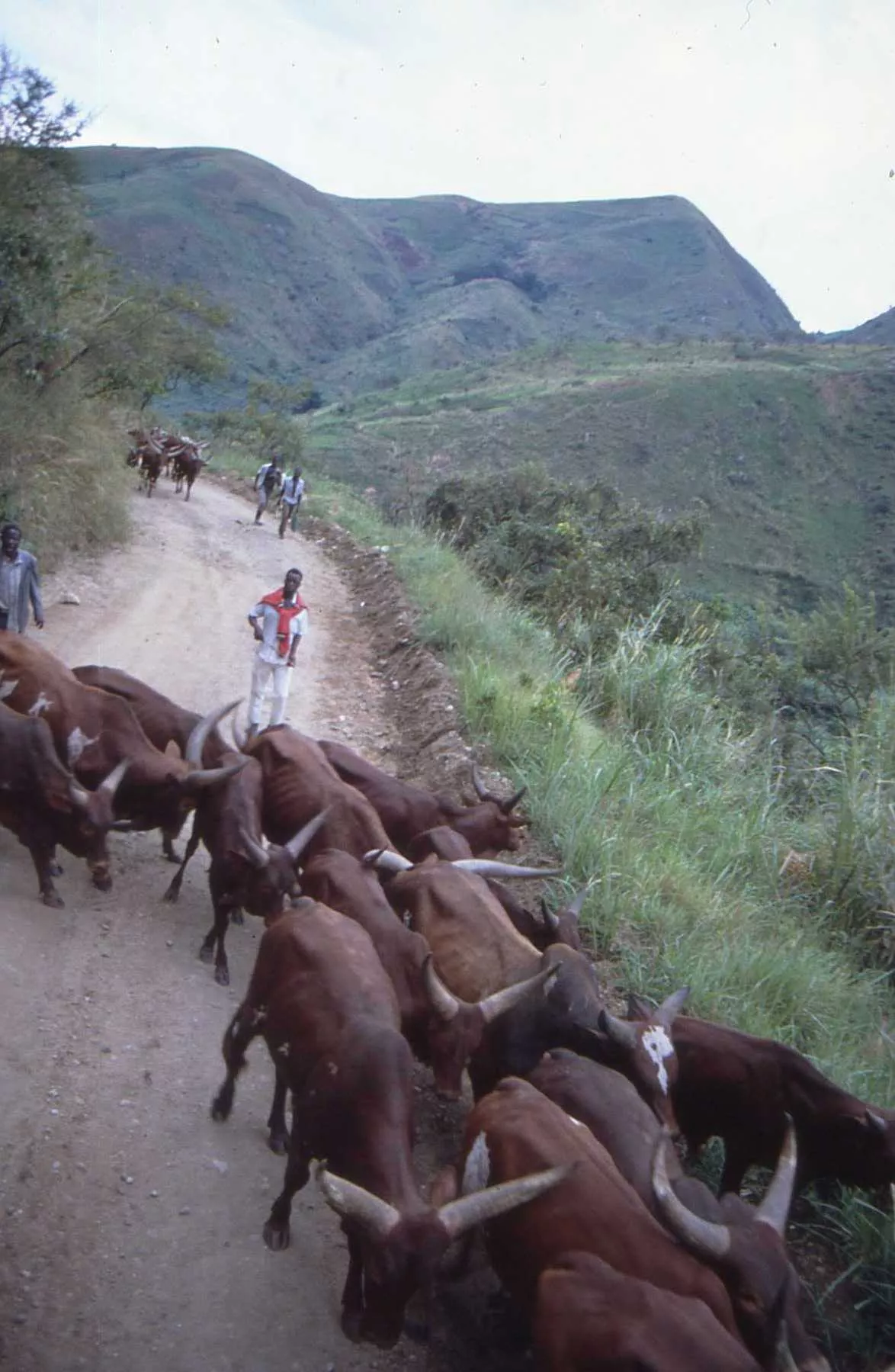 Marco Pascual en Ruanda