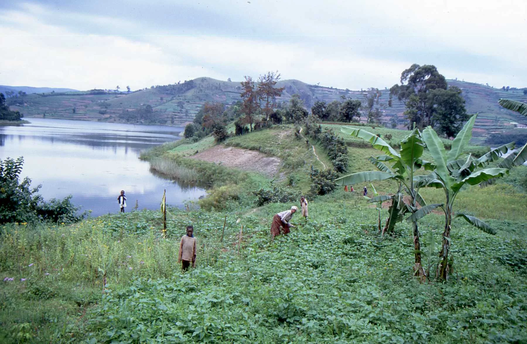Marco Pascual en Ruanda