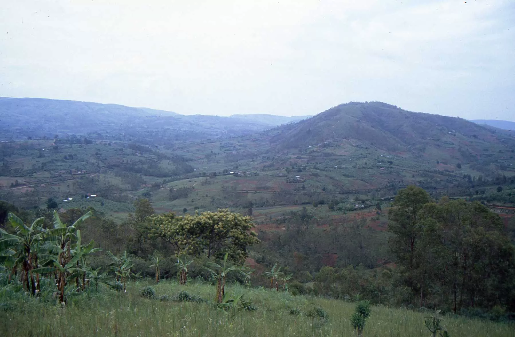 Marco Pascual en Ruanda