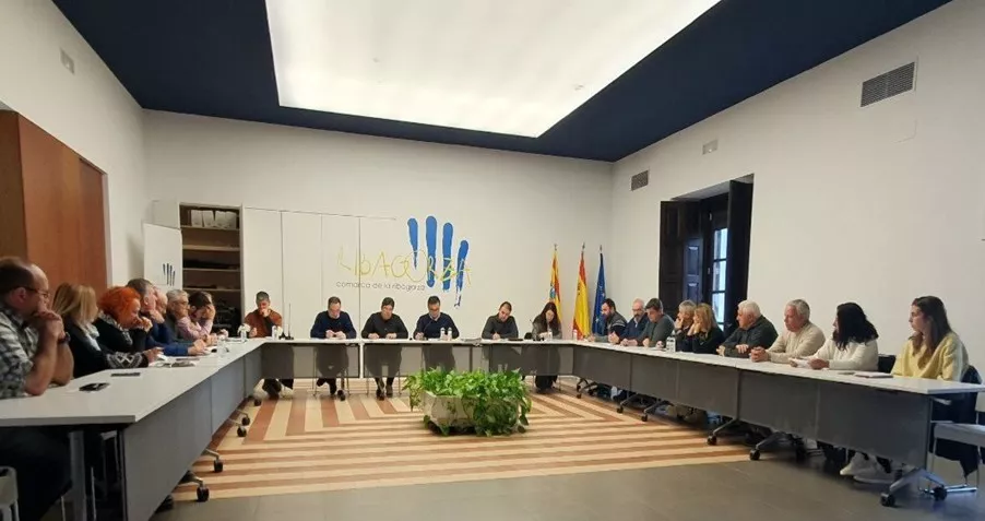 Pleno de la Comarca de la Ribagorza