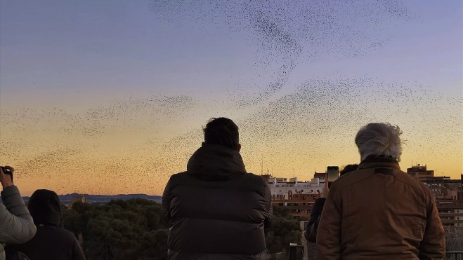 348905da 10d3 46f4 abb0 e82caf9cc5ea 348905da 10d3 46f4 abb0 e82caf9cc5ea