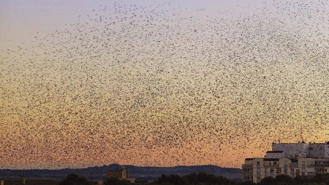 f64bf163 8dd9 419d b1a6 61759367b5ee f64bf163 8dd9 419d b1a6 61759367b5ee