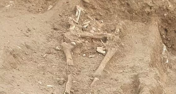 Restos humanos en la zona de La Merced