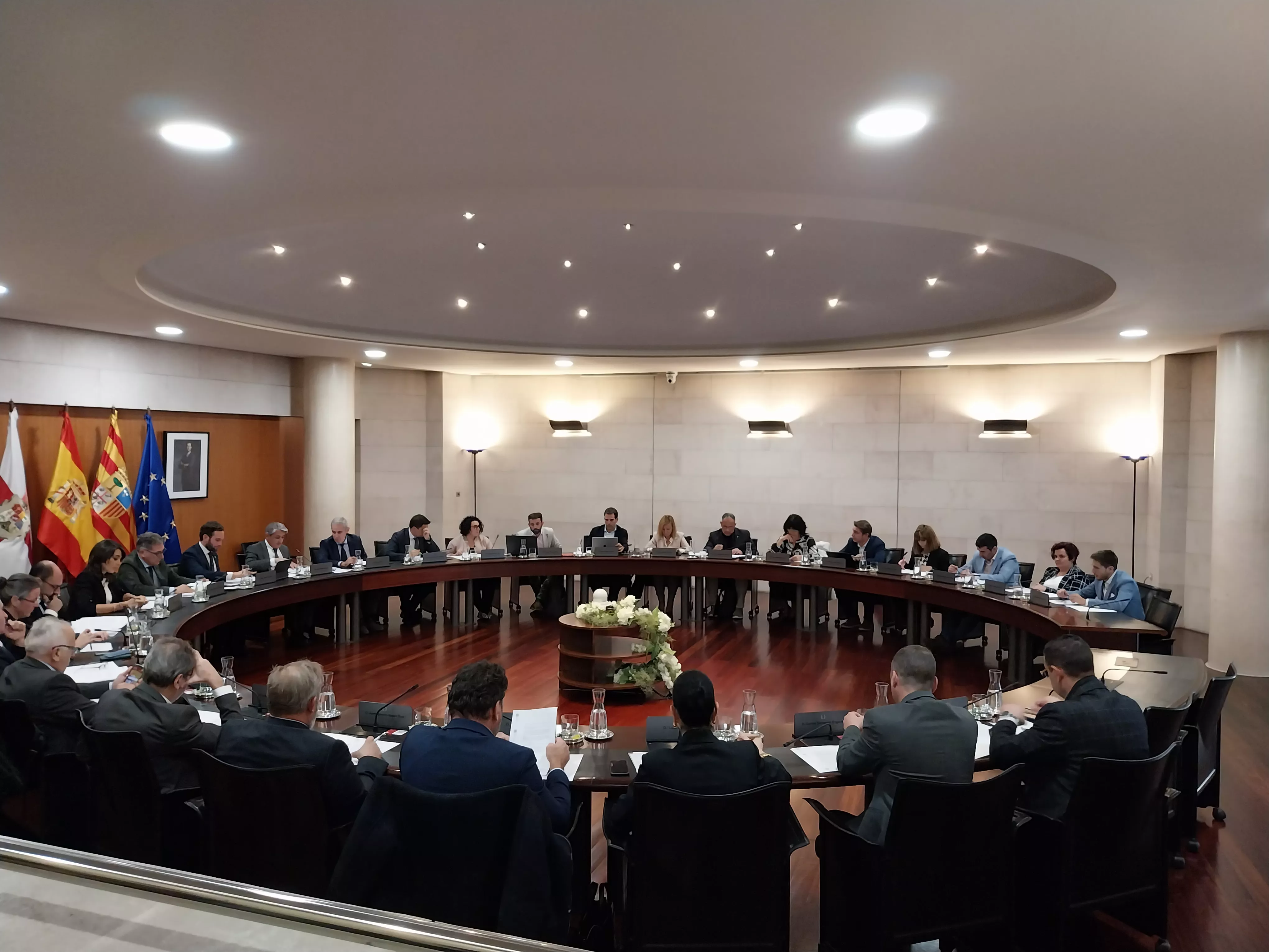 Imagen de un pleno de la DPH.