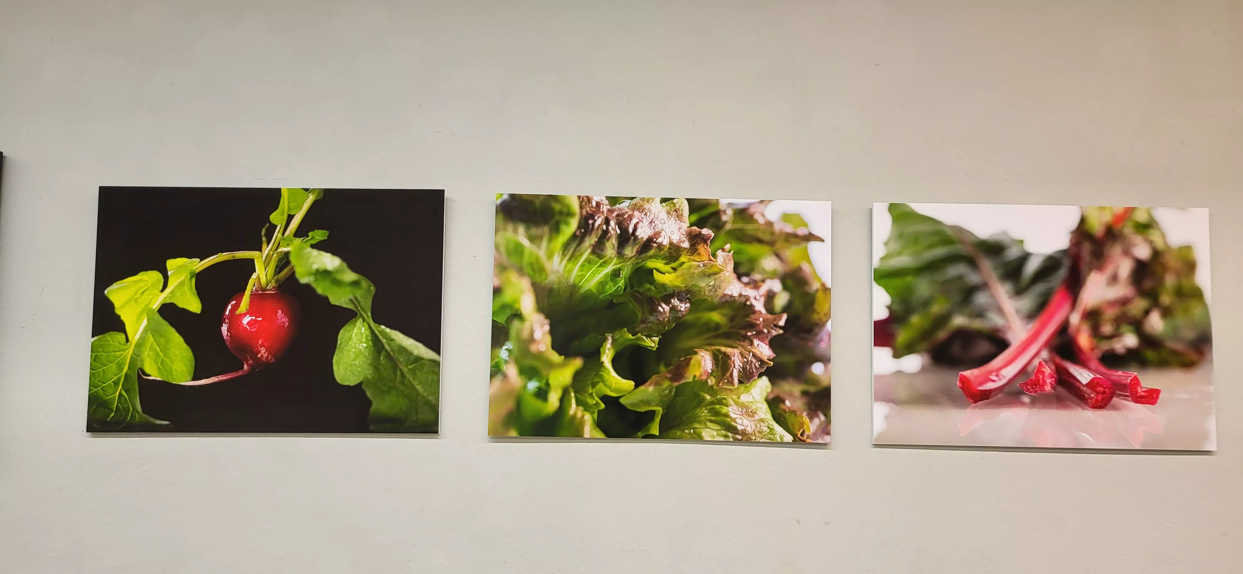 Inauguración de la exposición de Beatriz López en el Centro Cultural Manuel Benito Moliner de Huesca. Foto Mercedes Manterola