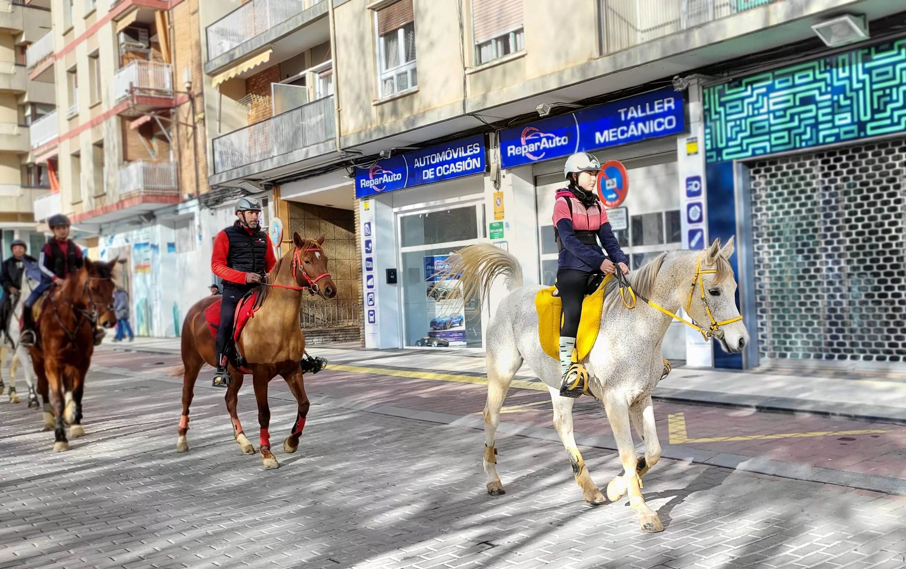 Tradicional bendición de animales por San Antón en Huesca. Foto: Mercedes Manterola