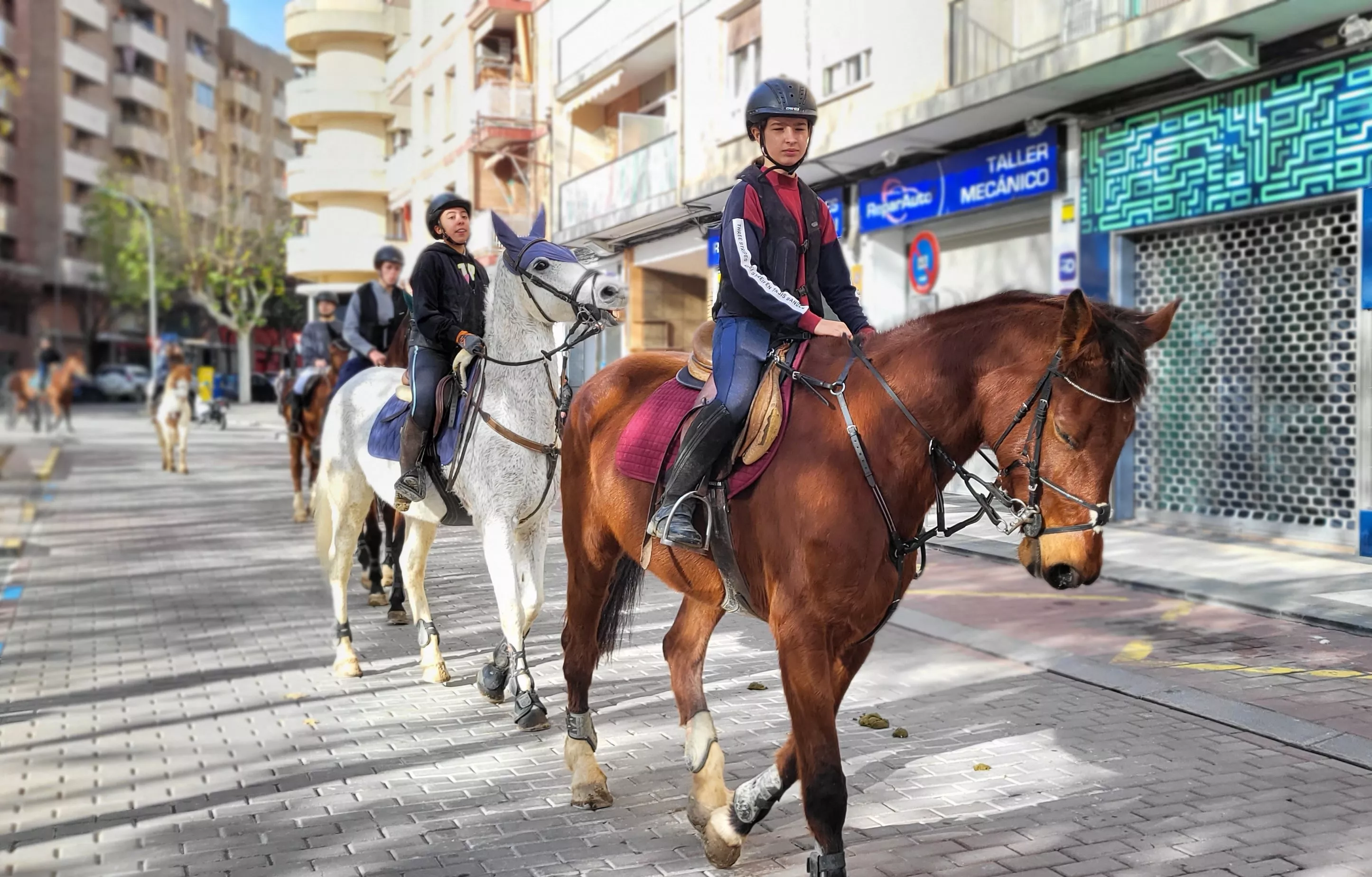 Tradicional bendición de animales por San Antón en Huesca. Foto: Mercedes Manterola