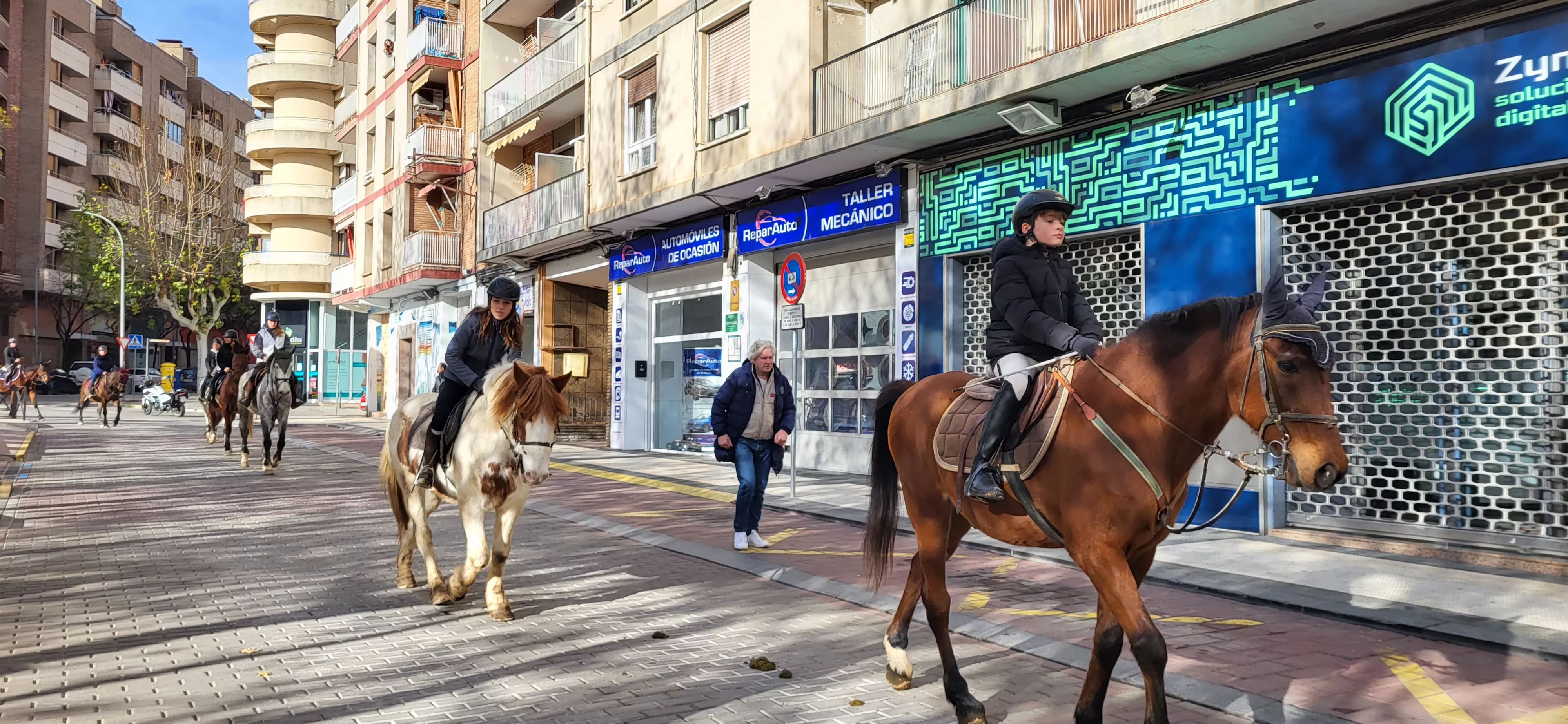 Tradicional bendición de animales por San Antón en Huesca. Foto: Mercedes Manterola