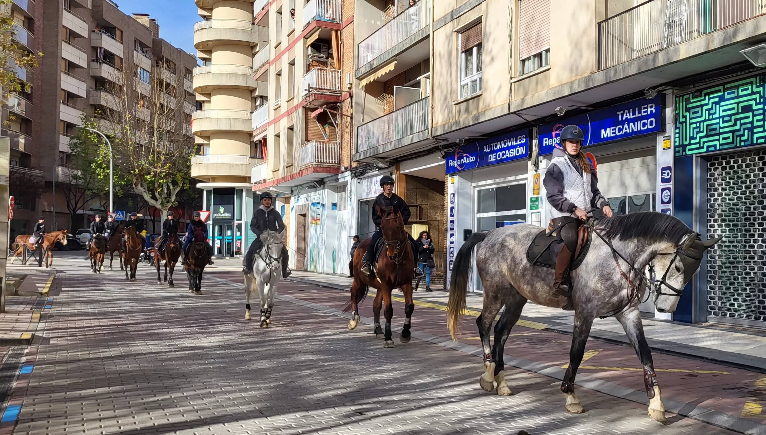 Tradicional bendición de animales por San Antón en Huesca. Foto: Mercedes Manterola