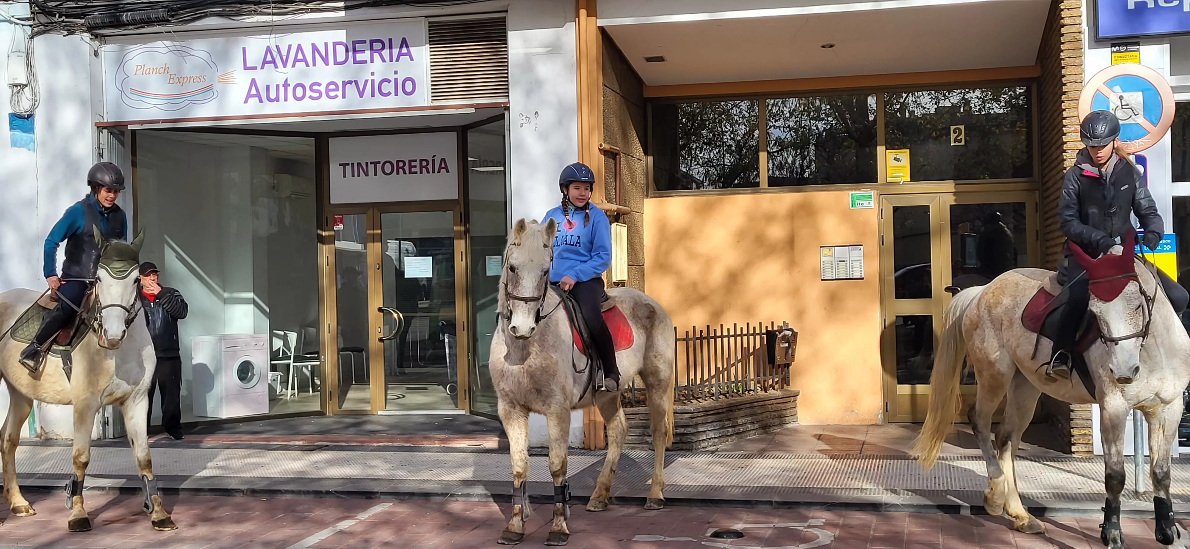 Tradicional bendición de animales por San Antón en Huesca. Foto: Mercedes Manterola