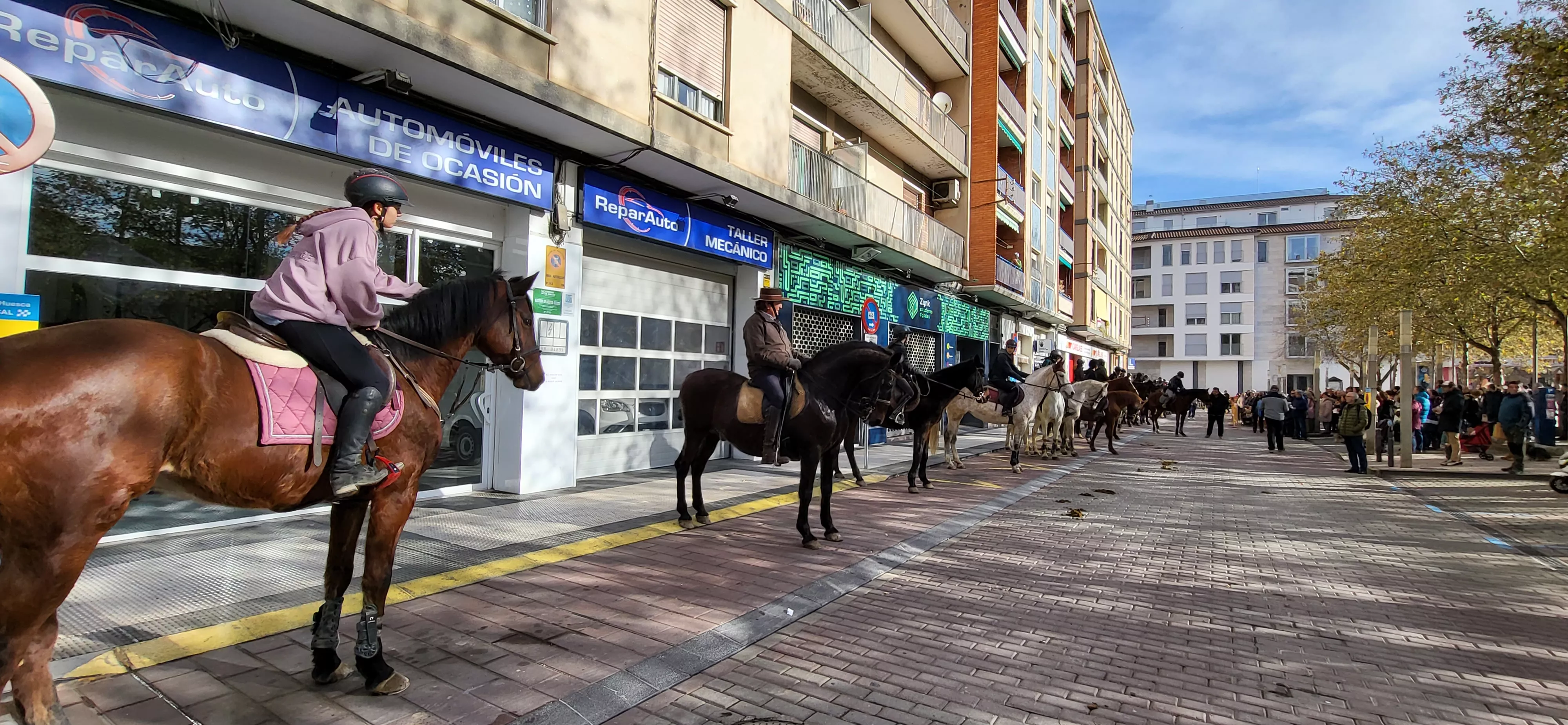 Tradicional bendición de animales por San Antón en Huesca. Foto: Mercedes Manterola
