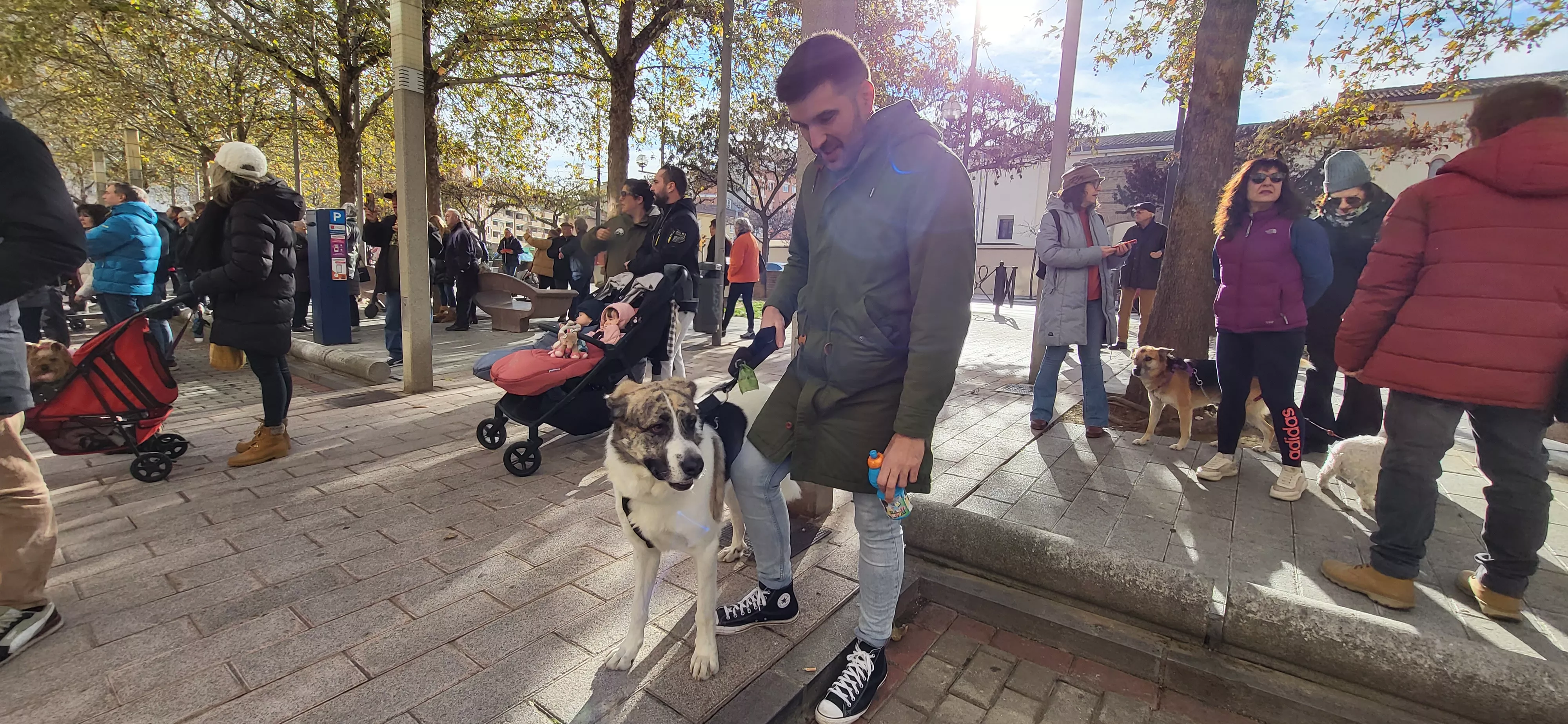 Tradicional bendición de animales por San Antón en Huesca. Foto: Mercedes Manterola