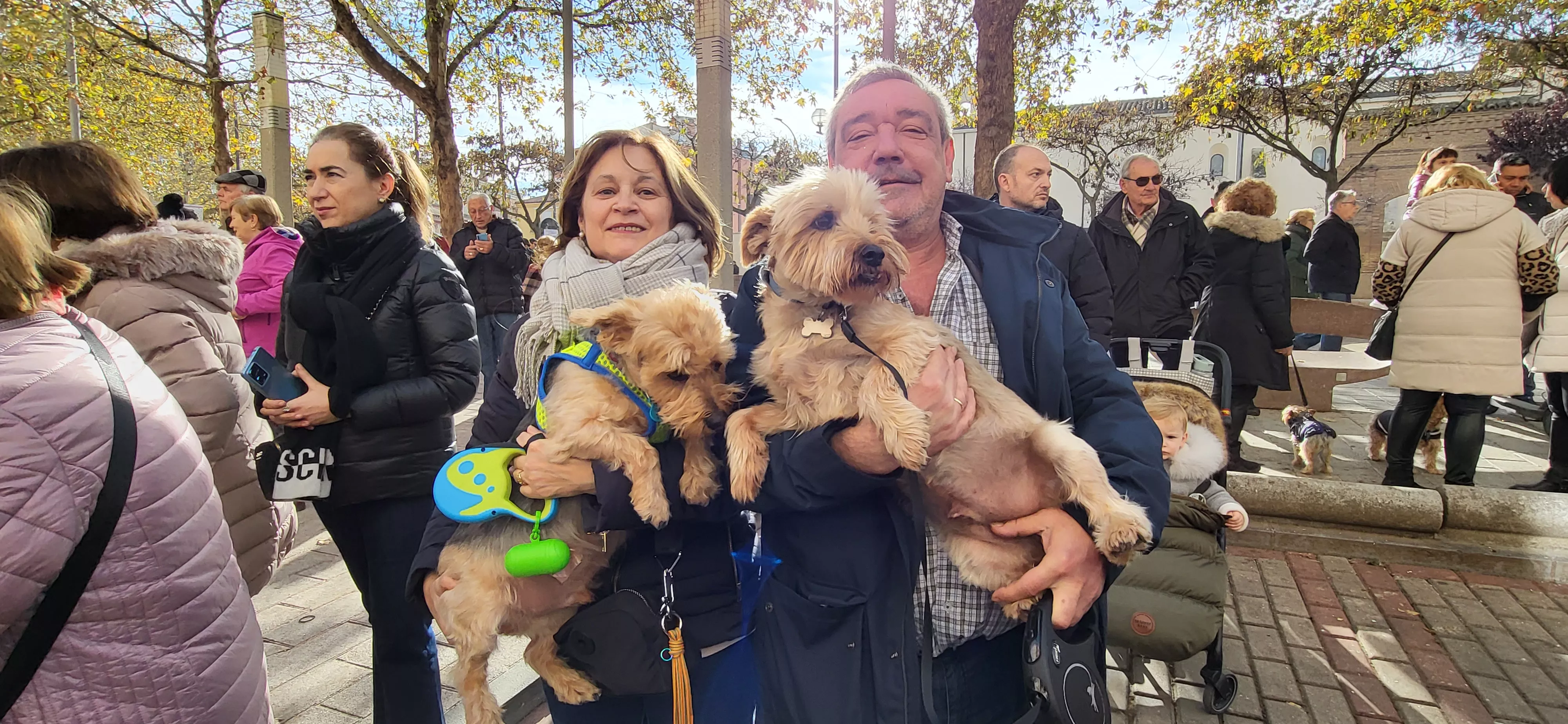 Tradicional bendición de animales por San Antón en Huesca. Foto: Mercedes Manterola
