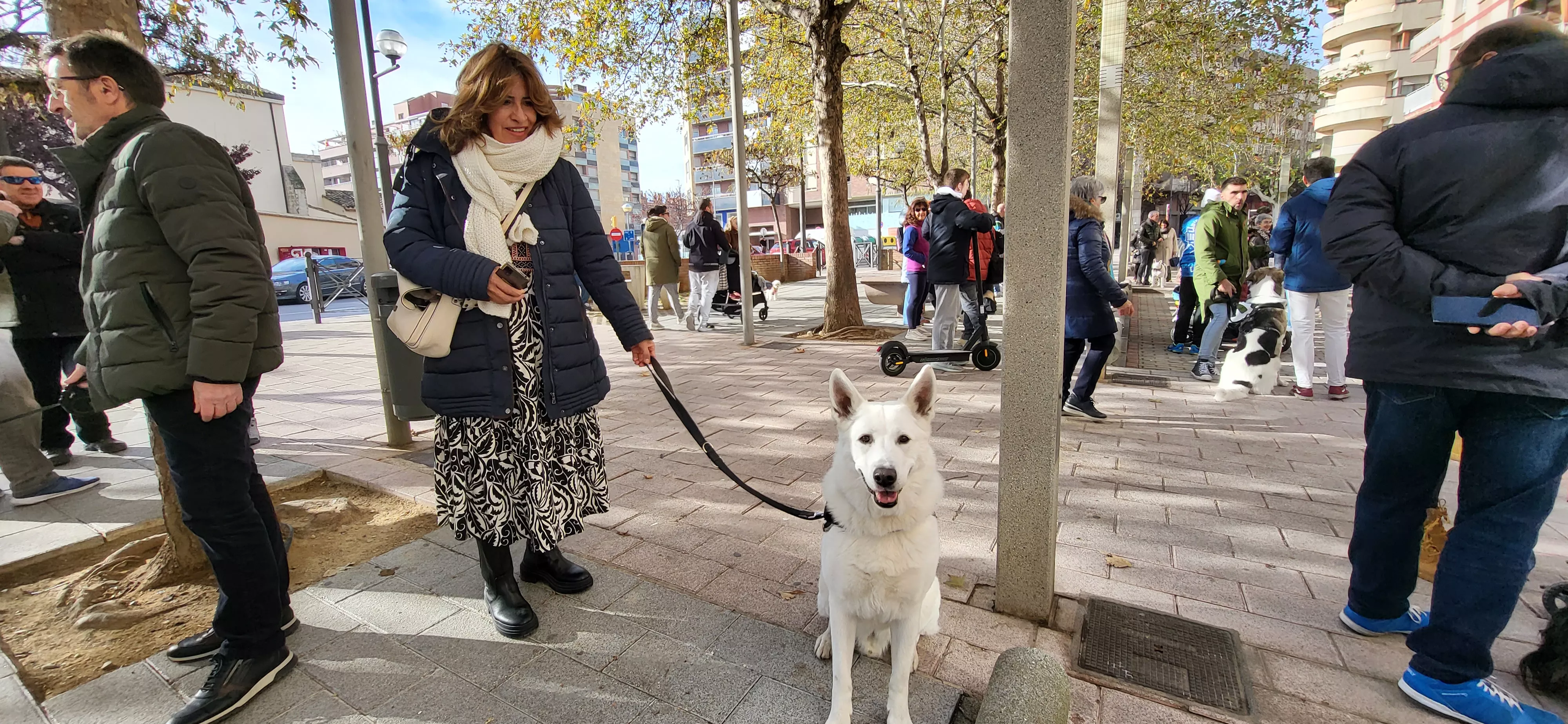 Tradicional bendición de animales por San Antón en Huesca. Foto: Mercedes Manterola