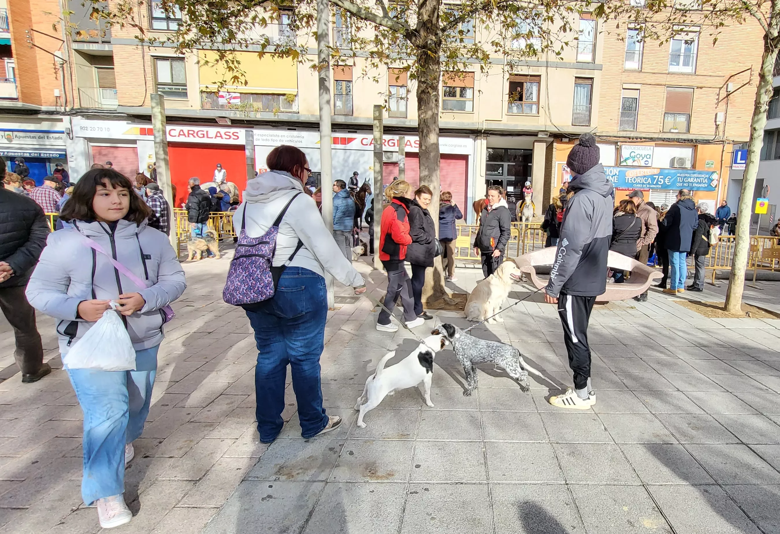 Tradicional bendición de animales por San Antón en Huesca. Foto: Mercedes Manterola