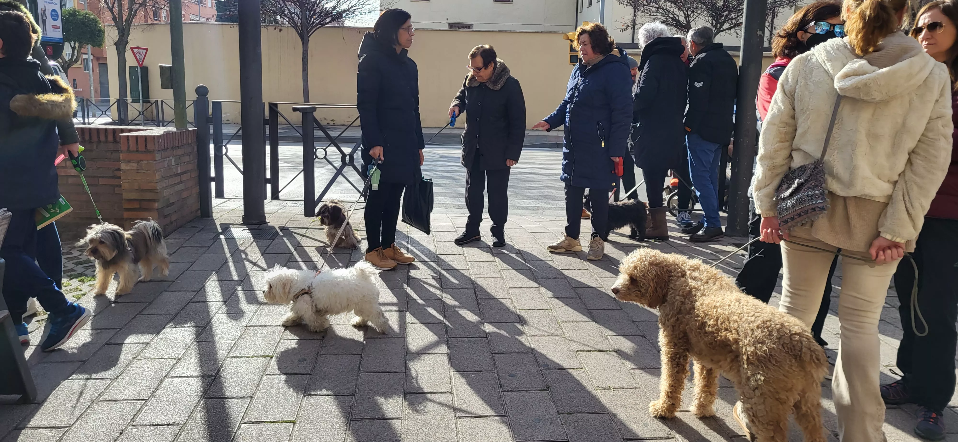 Tradicional bendición de animales por San Antón en Huesca. Foto: Mercedes Manterola