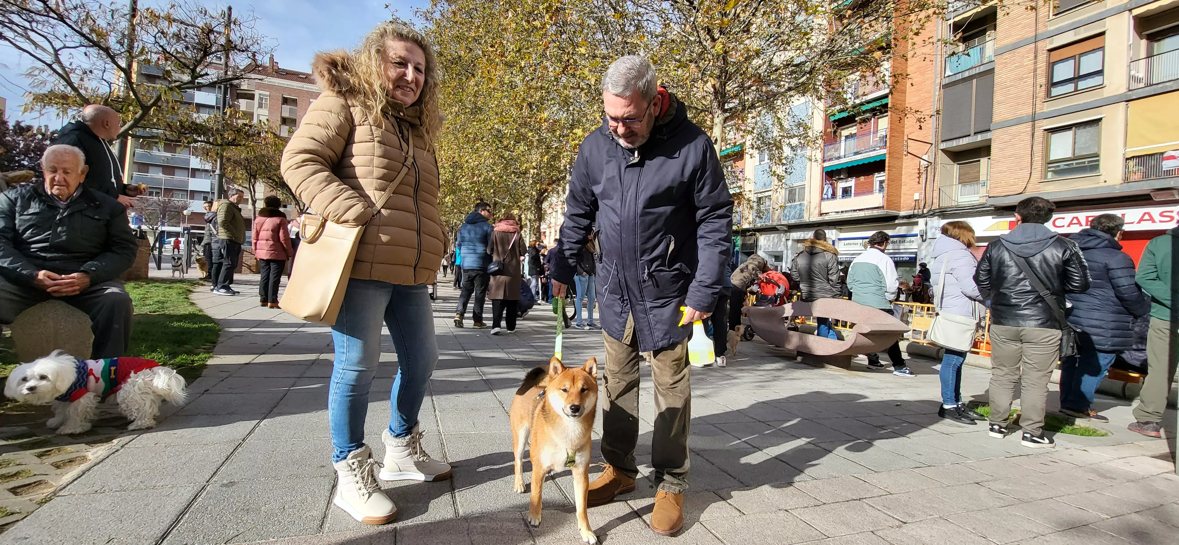 Tradicional bendición de animales por San Antón en Huesca. Foto: Mercedes Manterola