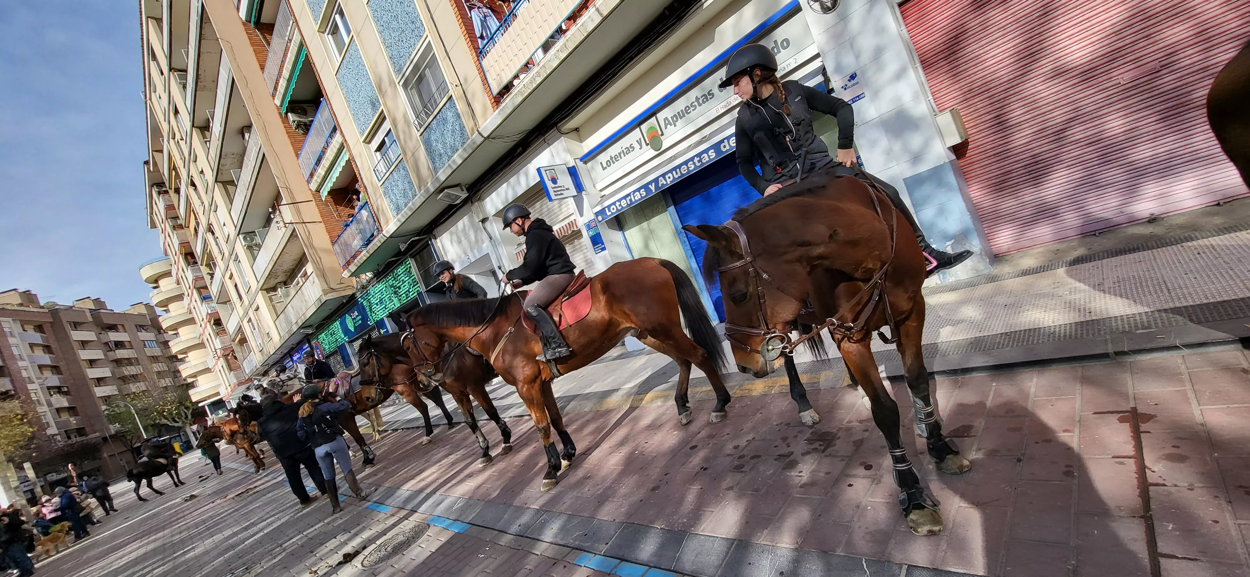 Tradicional bendición de animales por San Antón en Huesca. Foto: Mercedes Manterola
