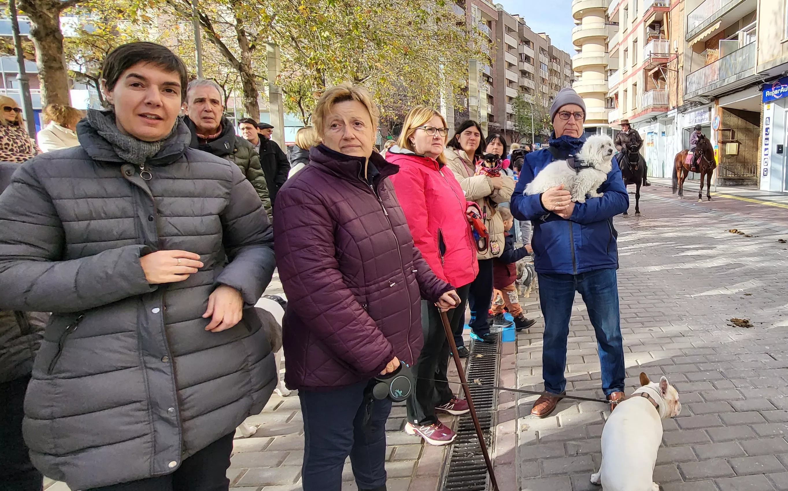 Tradicional bendición de animales por San Antón en Huesca. Foto: Mercedes Manterola
