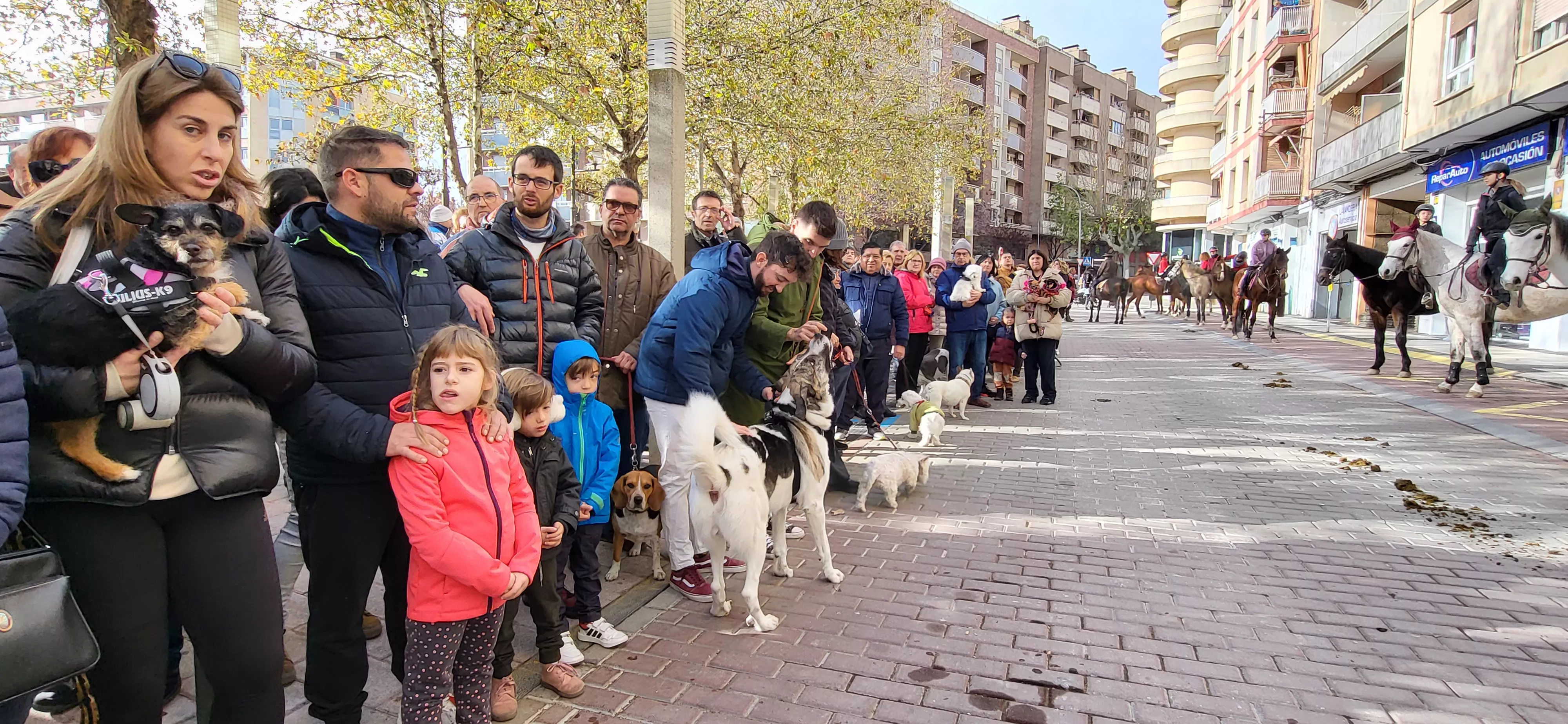 Tradicional bendición de animales por San Antón en Huesca. Foto: Mercedes Manterola