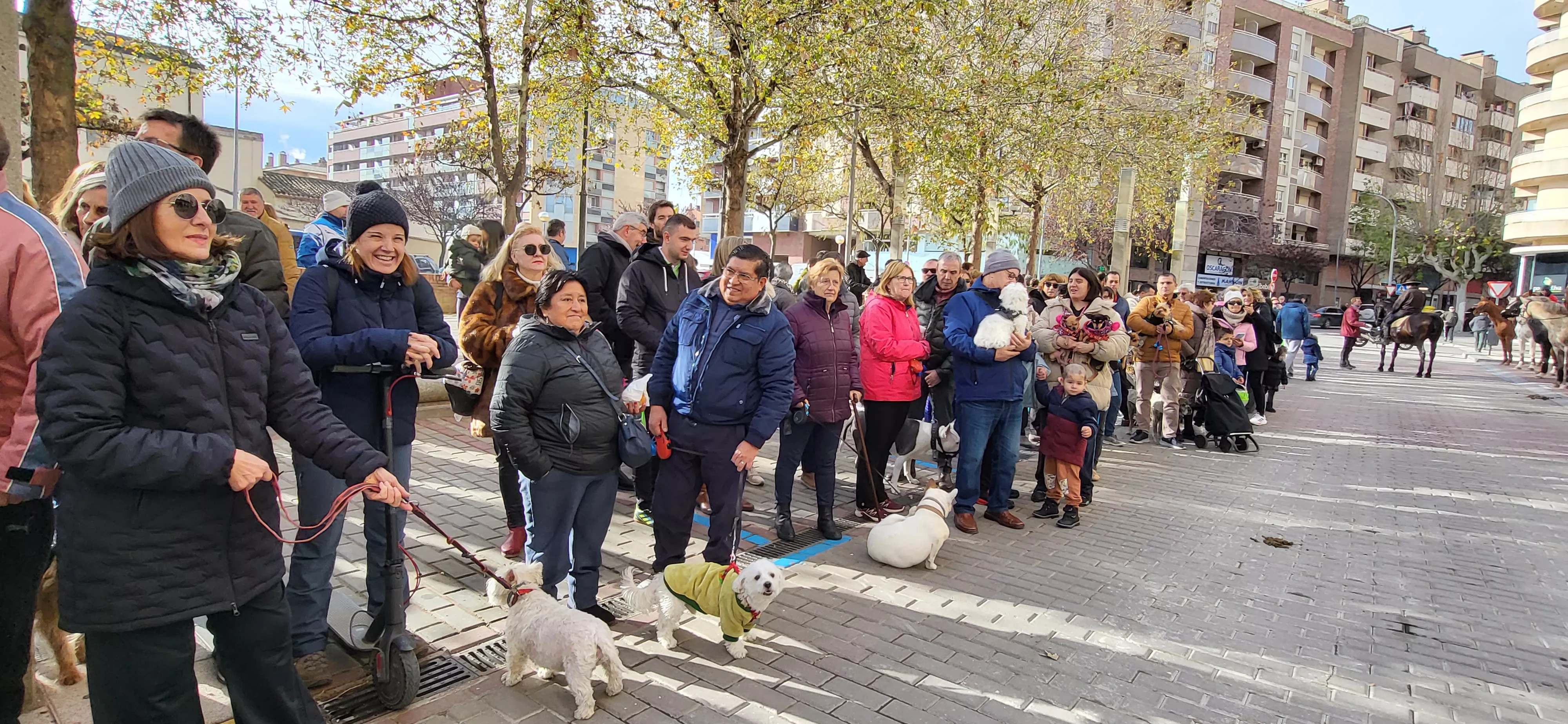 Tradicional bendición de animales por San Antón en Huesca. Foto: Mercedes Manterola