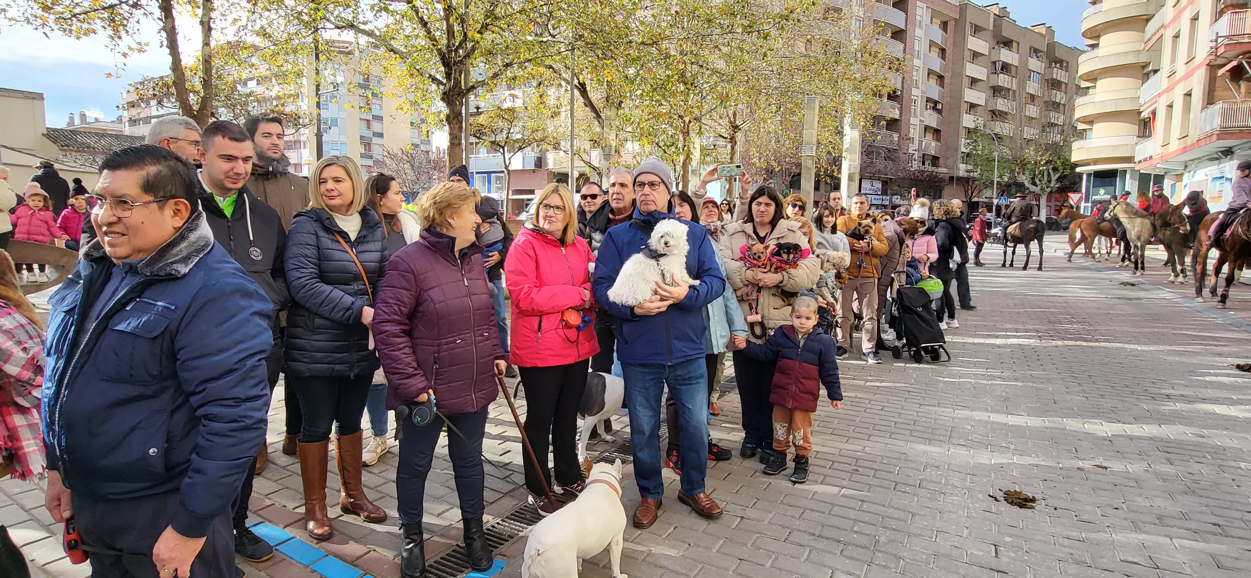 Tradicional bendición de animales por San Antón en Huesca. Foto: Mercedes Manterola
