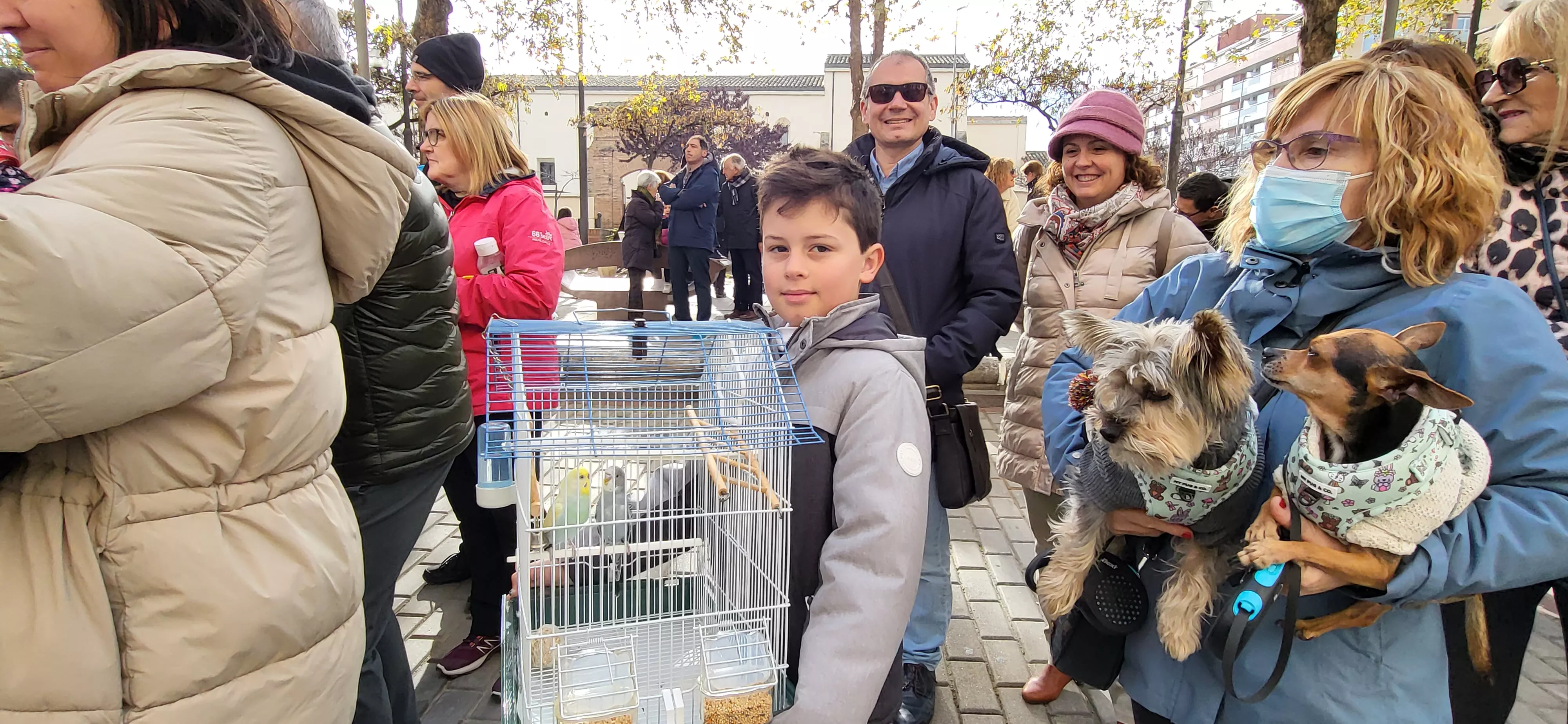 Tradicional bendición de animales por San Antón en Huesca. Foto: Mercedes Manterola