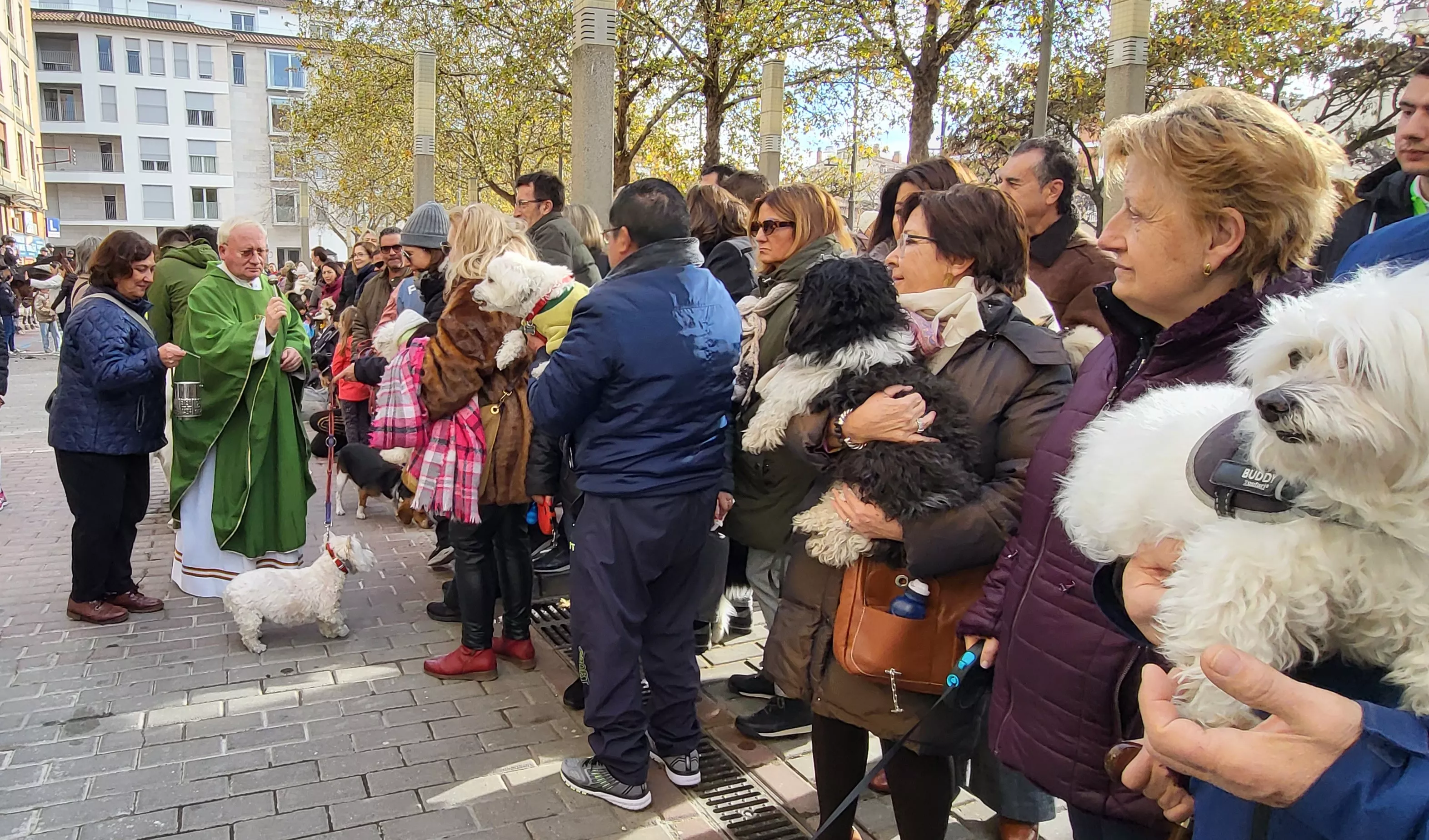 Tradicional bendición de animales por San Antón en Huesca. Foto: Mercedes Manterola