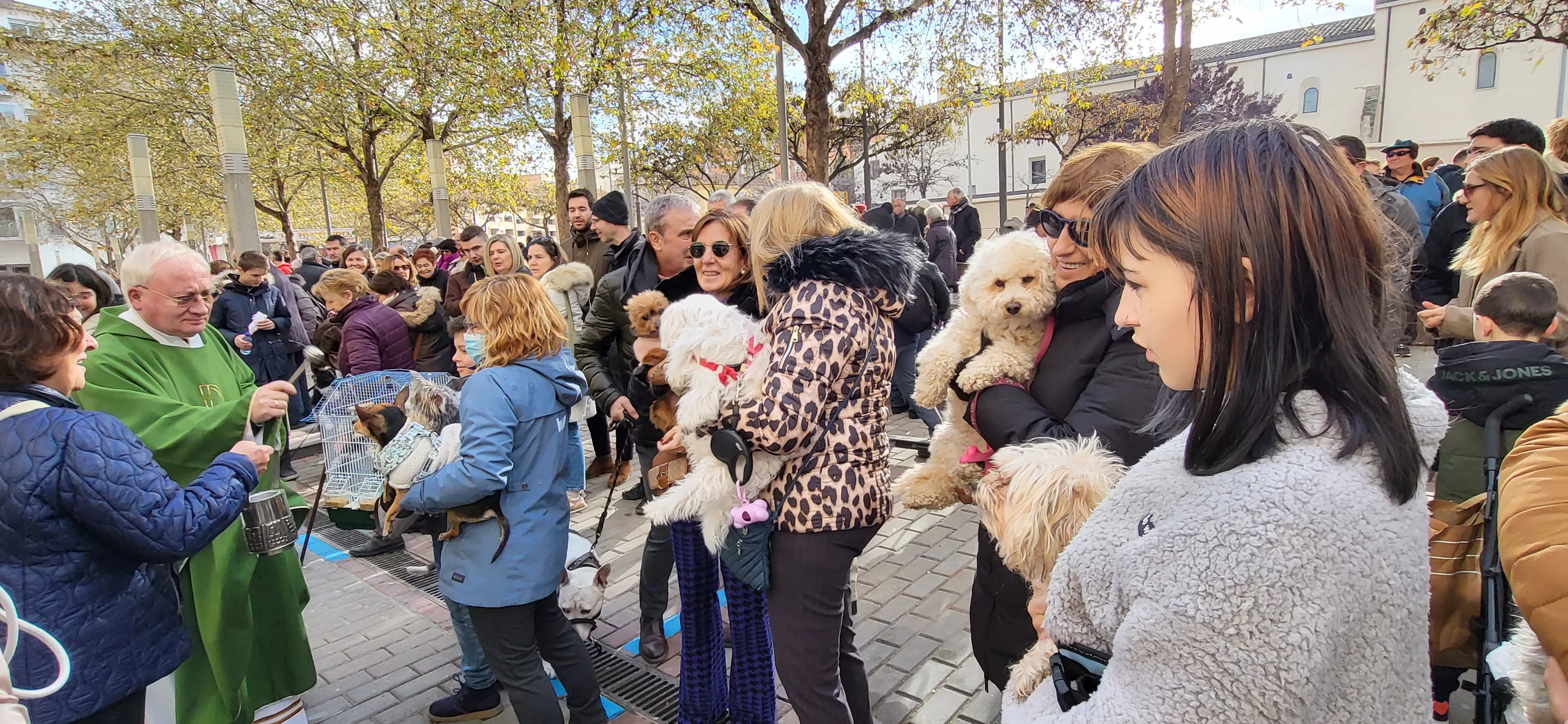 Tradicional bendición de animales por San Antón en Huesca. Foto: Mercedes Manterola
