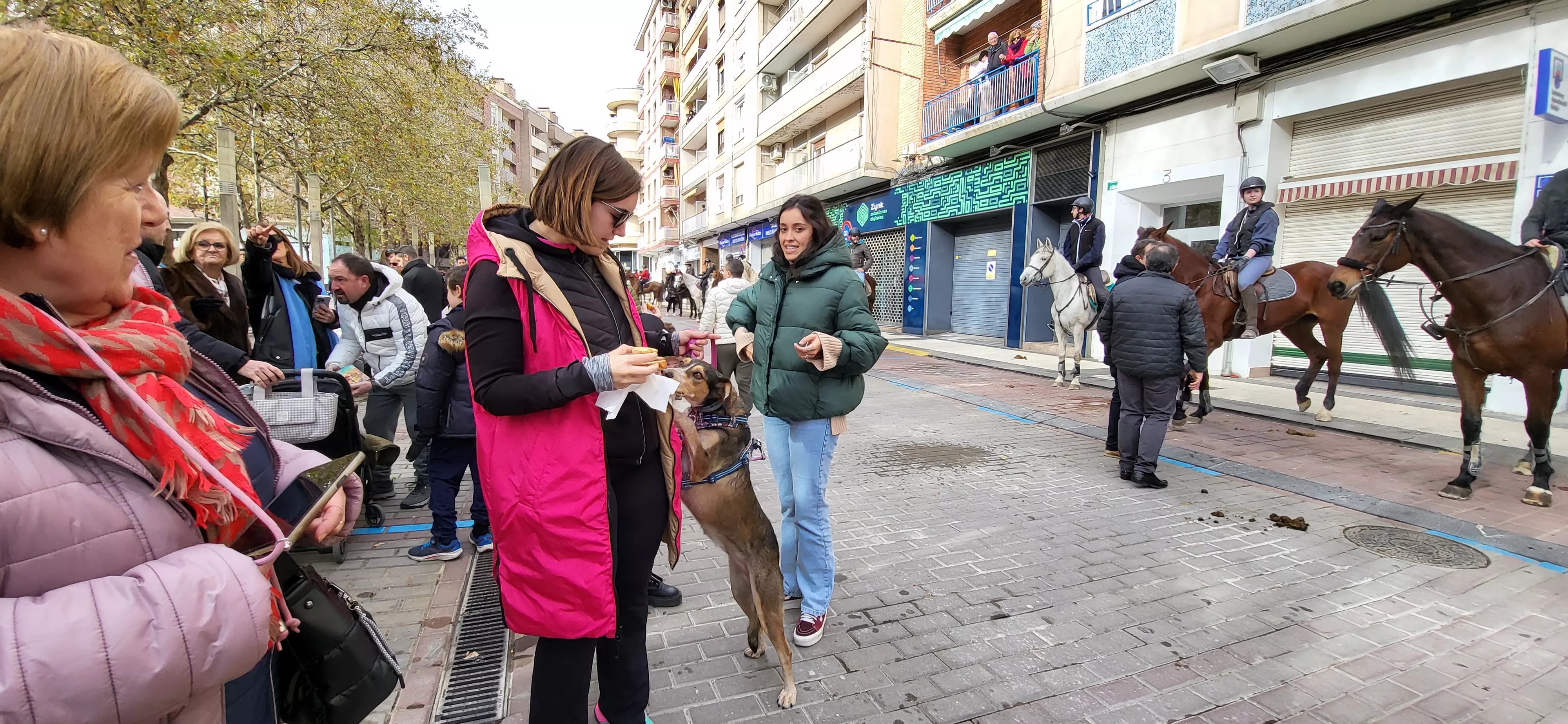 Tradicional bendición de animales por San Antón en Huesca. Foto: Mercedes Manterola