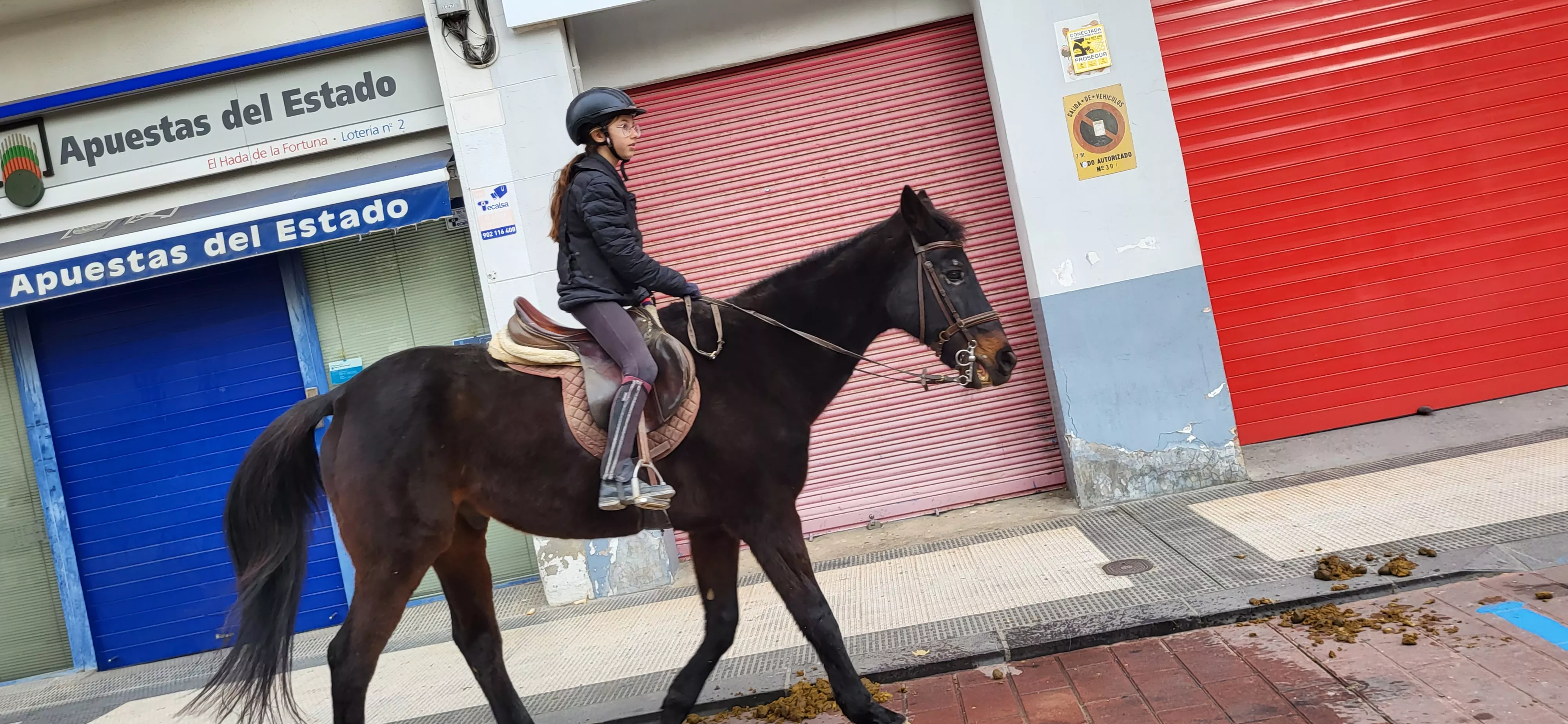 Tradicional bendición de animales por San Antón en Huesca. Foto: Mercedes Manterola