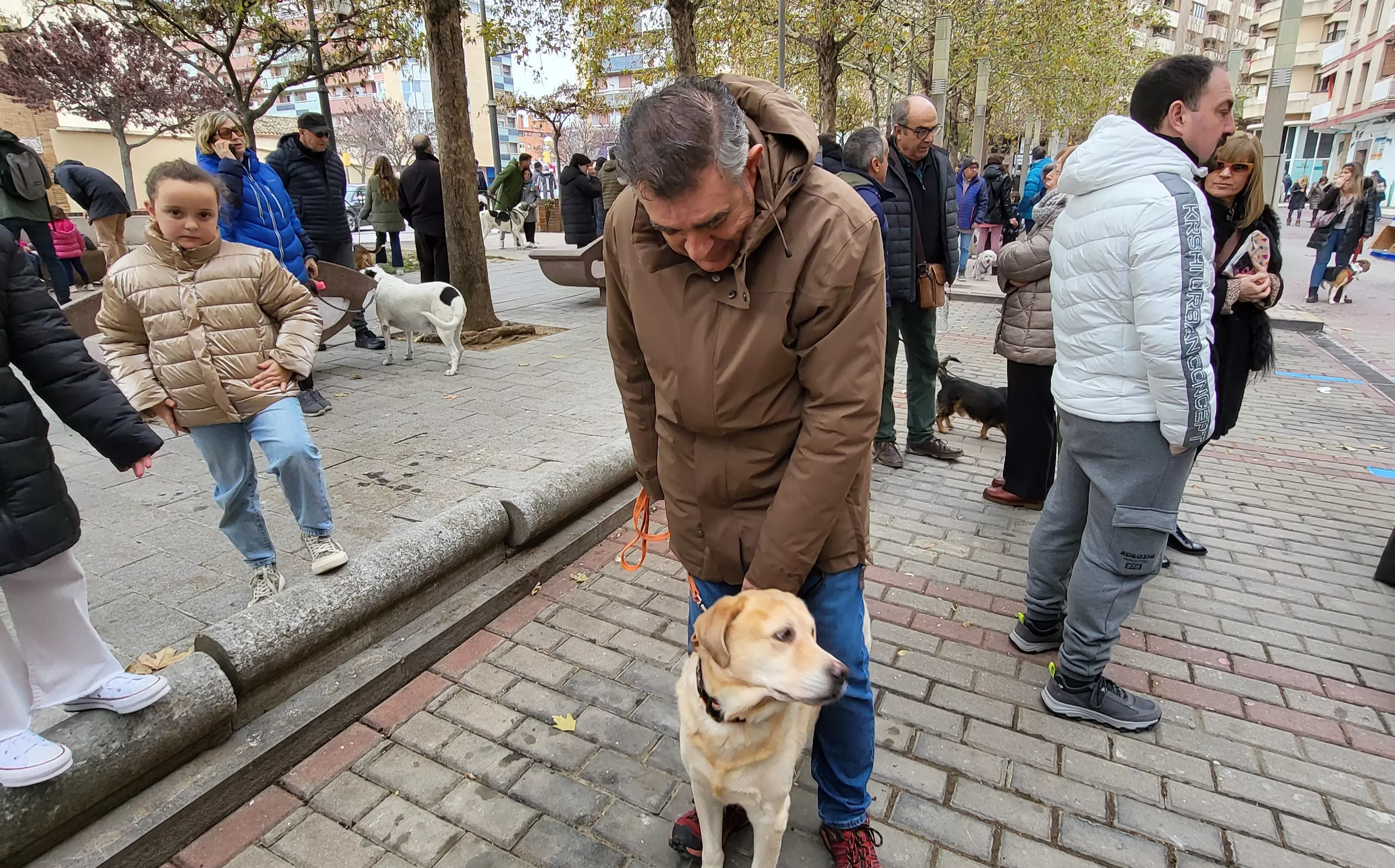 Tradicional bendición de animales por San Antón en Huesca. Foto: Mercedes Manterola