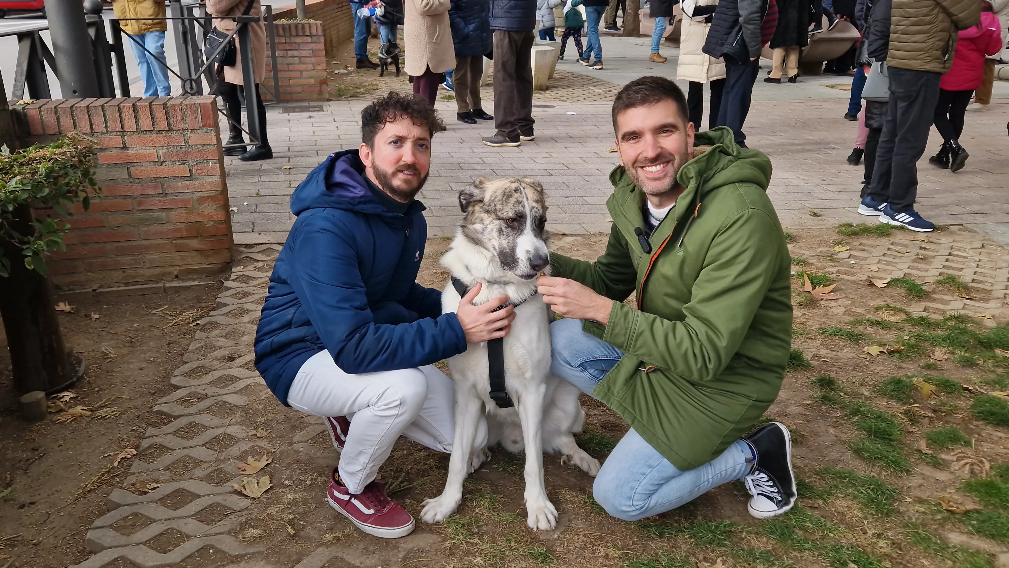 Tradicional bendición de animales por San Antón en Huesca. Foto Myriam Martínez