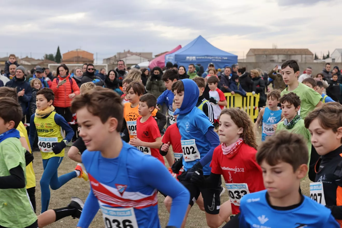Cross de La Almunia-Campeonato de Aragón. Foto: CA Olimpo