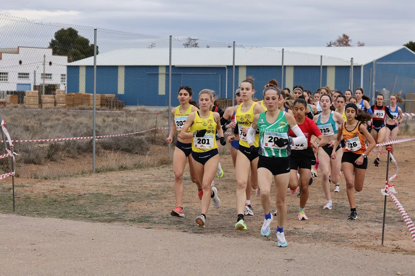 Cross de La Almunia-Campeonato de Aragón. Foto: CA Olimpo