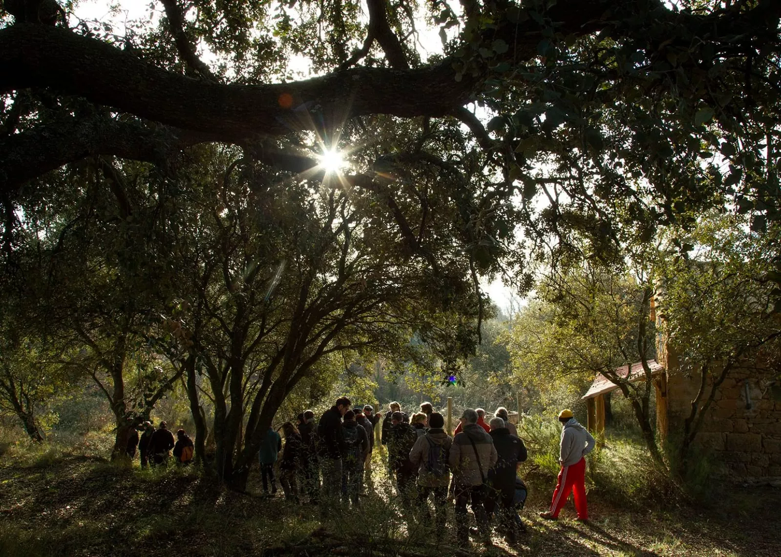 Trobada d'Aragonés d'Alquezra 2024. Foto Katerina Buil