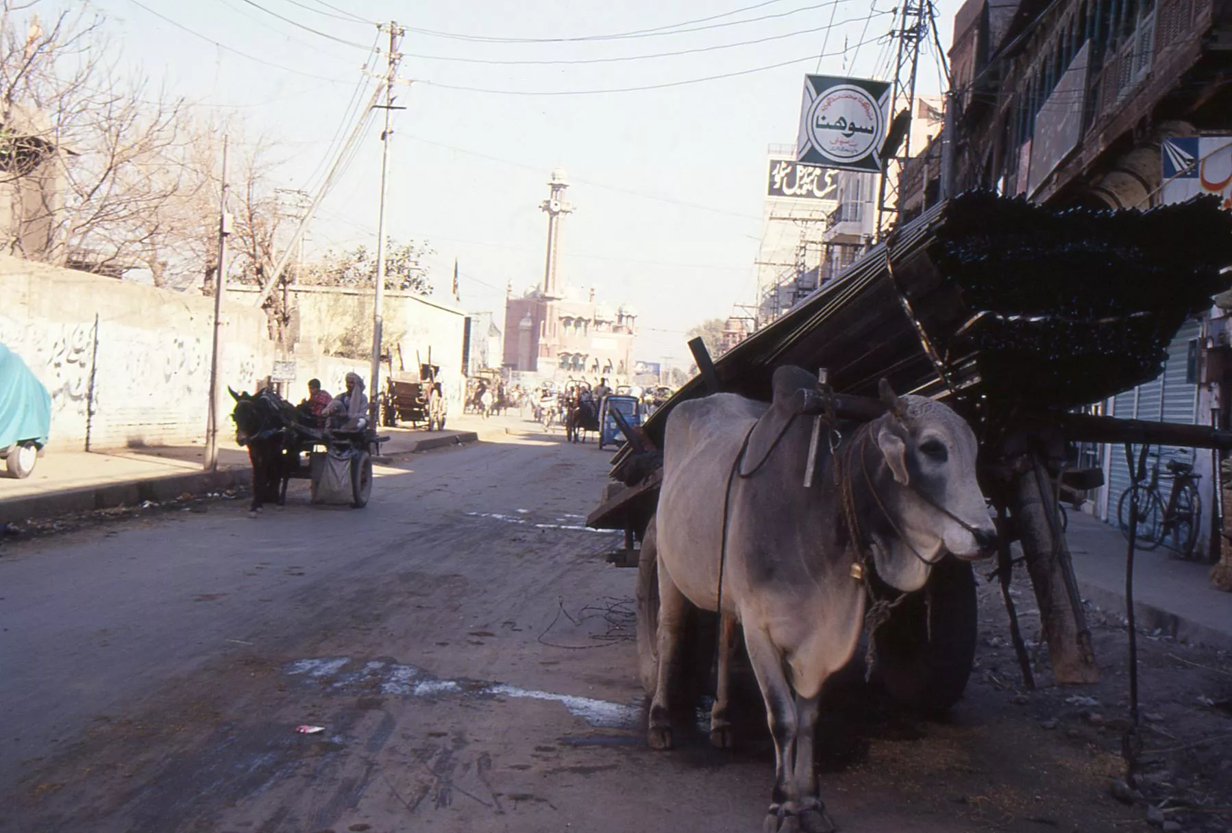 Marco Pascual en Pakistán