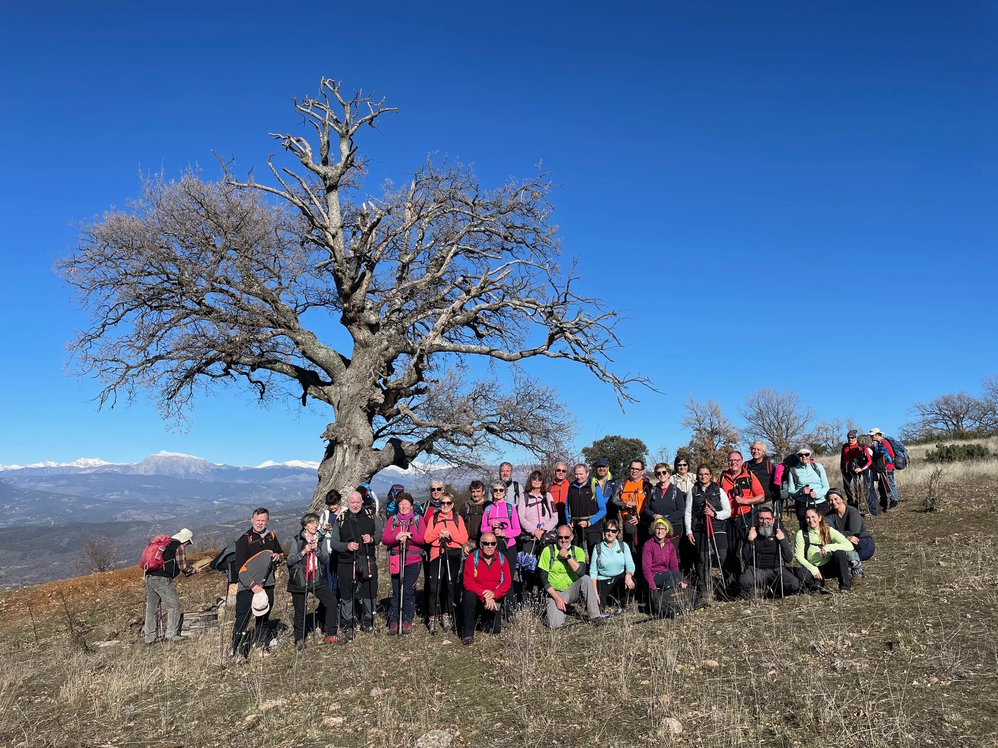 Los senderistas junto al roble milenario de la Mellera.
