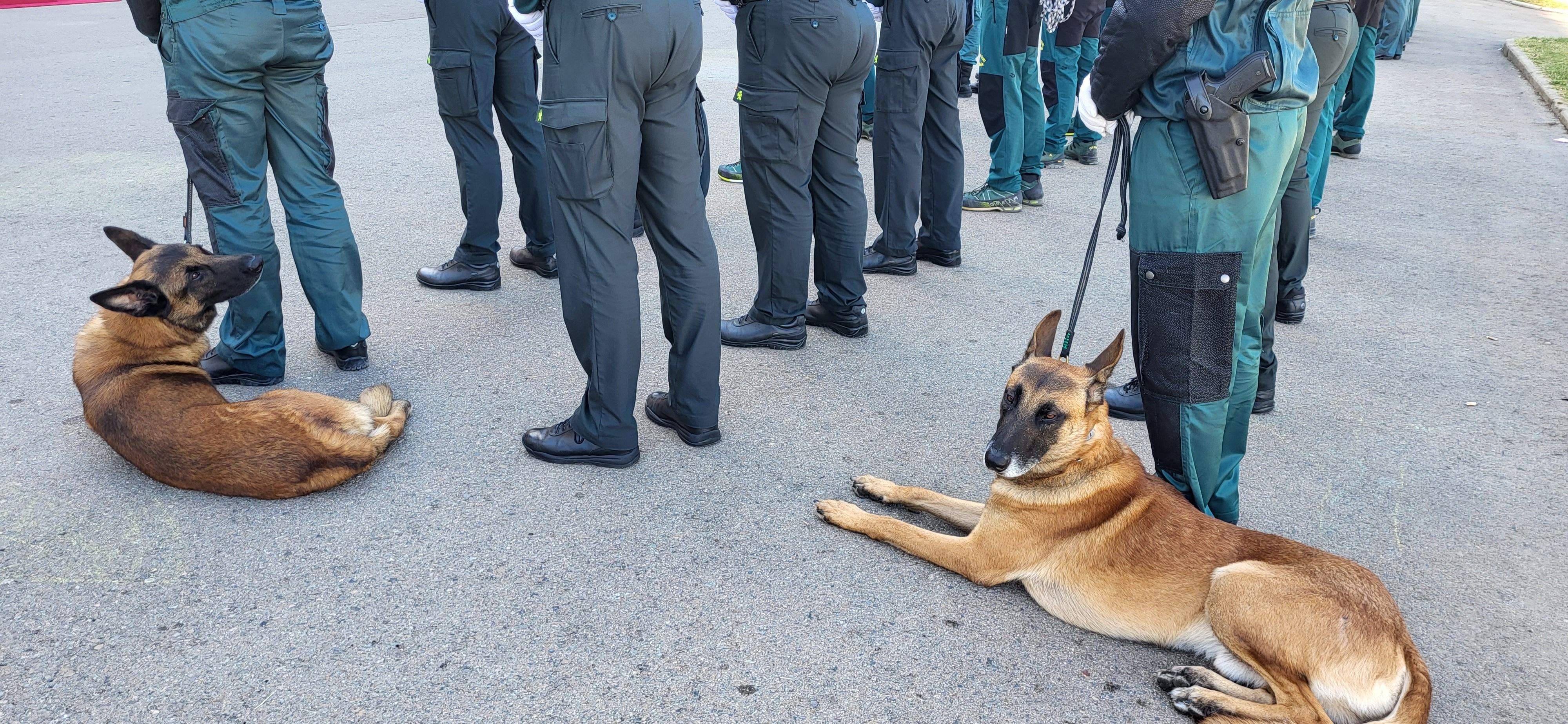 La Asociación Española de Guardias Civiles denuncia que no puede garantizar la seguridad de los aragoneses. Foto: Mercedes Manterola