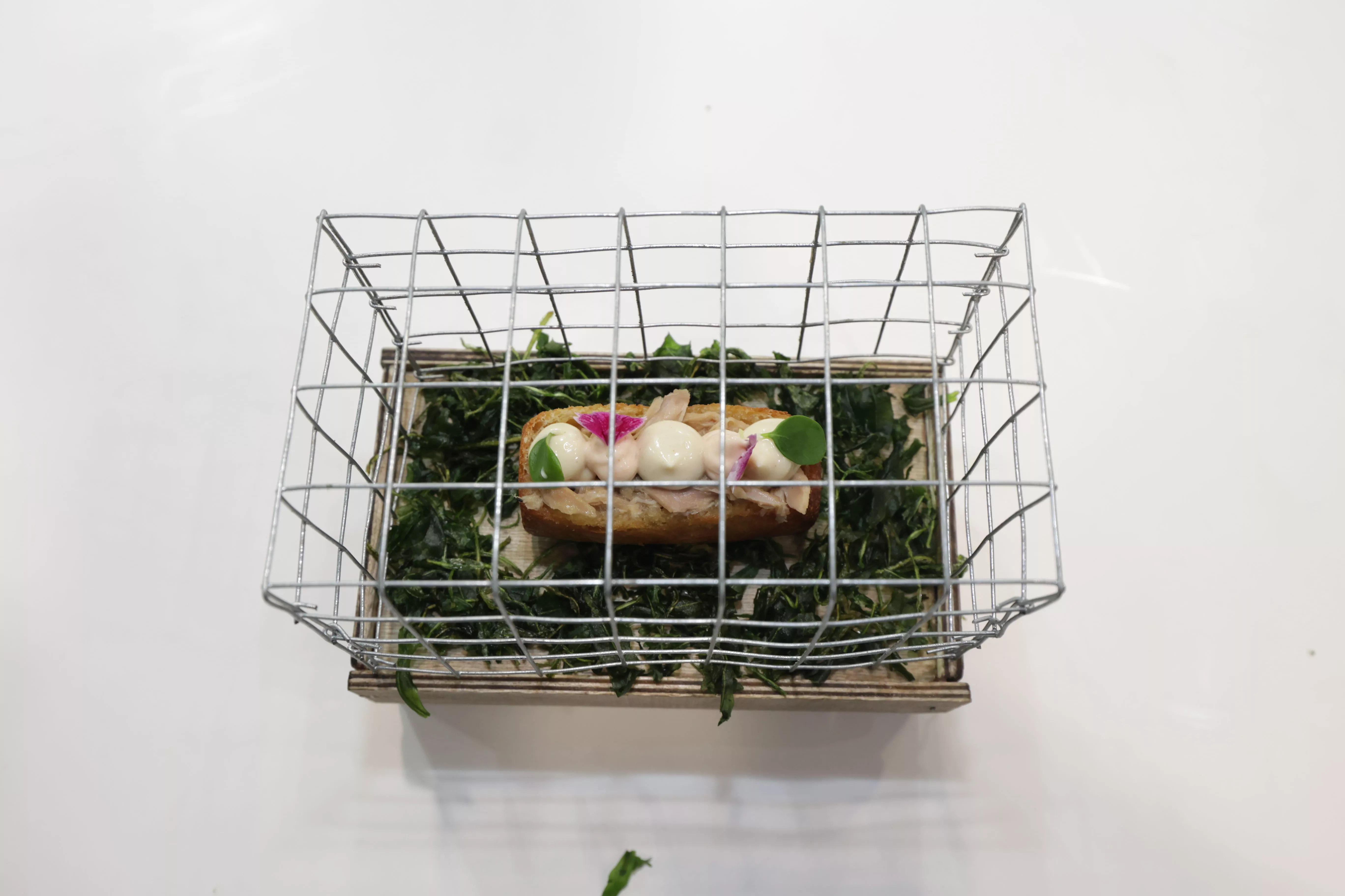 El triunfo de Iris Jordán en Madrid Fusión