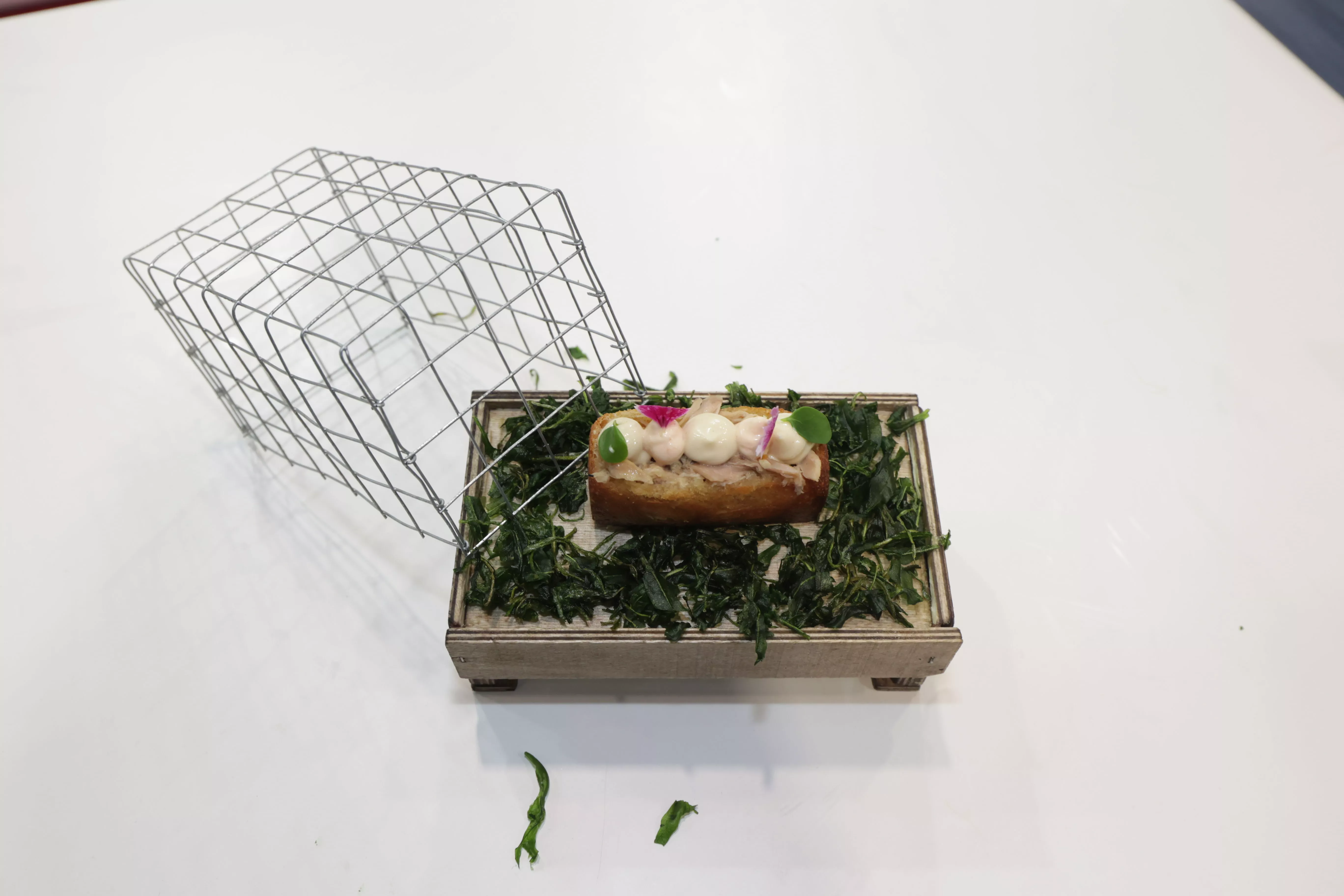 El triunfo de Iris Jordán en Madrid Fusión