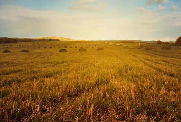 El campo se moviliza para reclamar cambios radicales. Foto Asaja