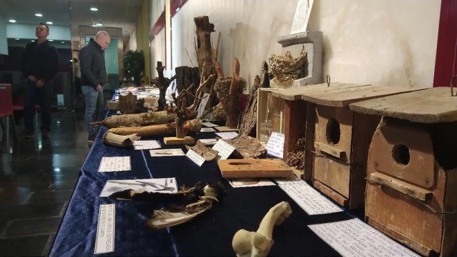 Huelllas CMNabain11 Huelllas CMNabain11