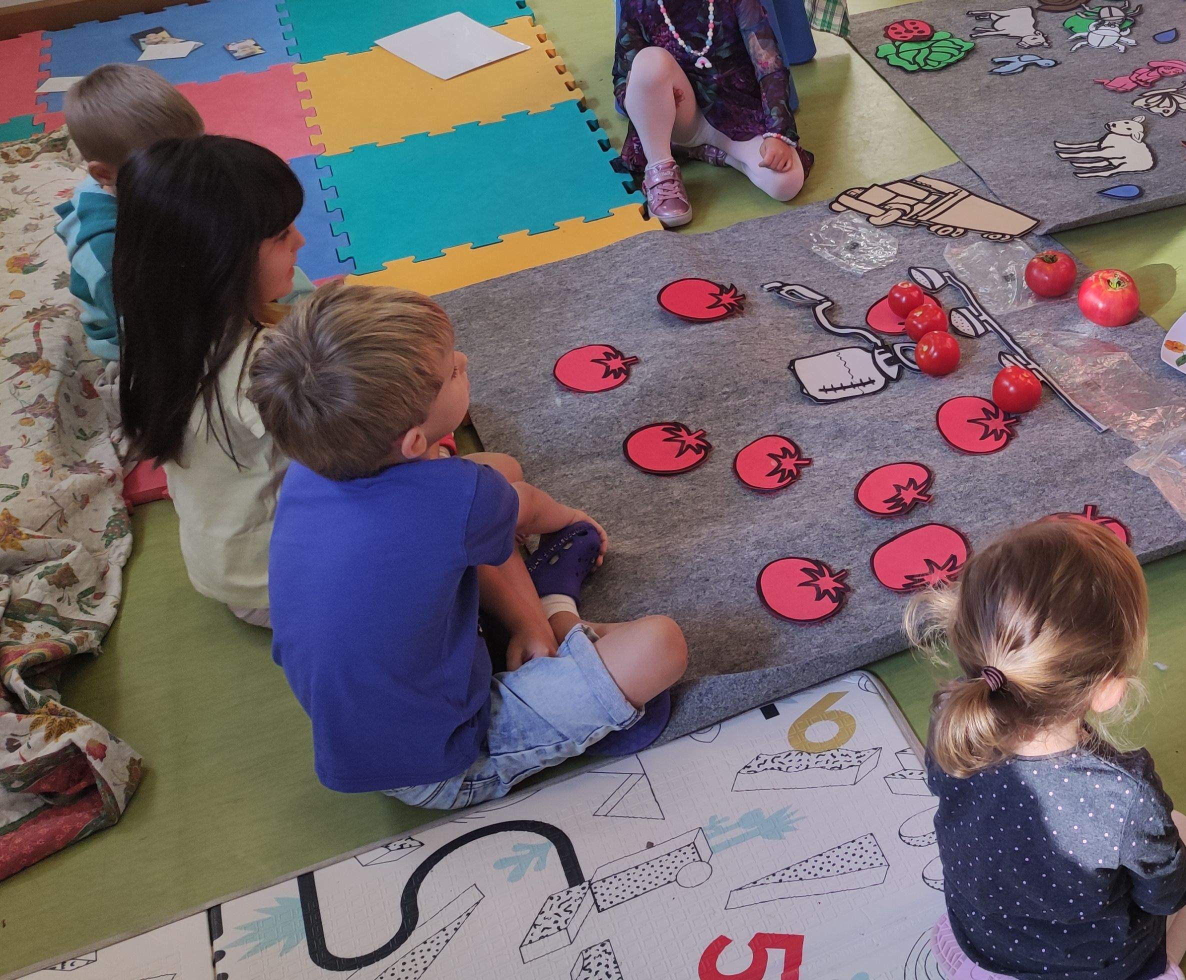 Se desarrollarán talleres en todos los  colegios de la comarca del Sobrarbe 