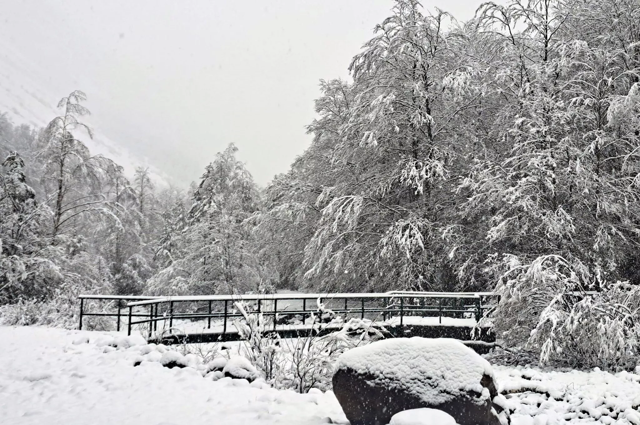 Parque Nacional de Ordesa y Monteperdido. Foto  Jorge Gracia @iniambey