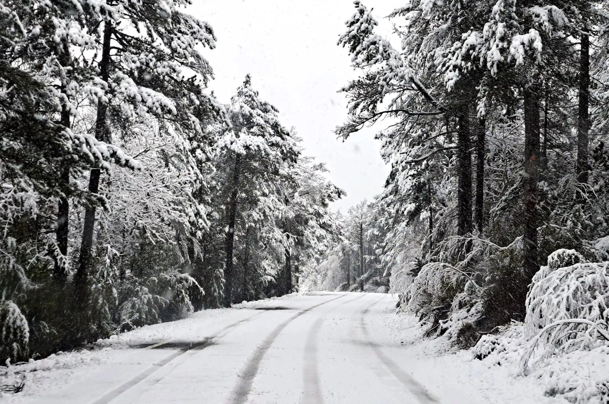 Parque Nacional de Ordesa y Monteperdido. Foto  Jorge Gracia @iniambey