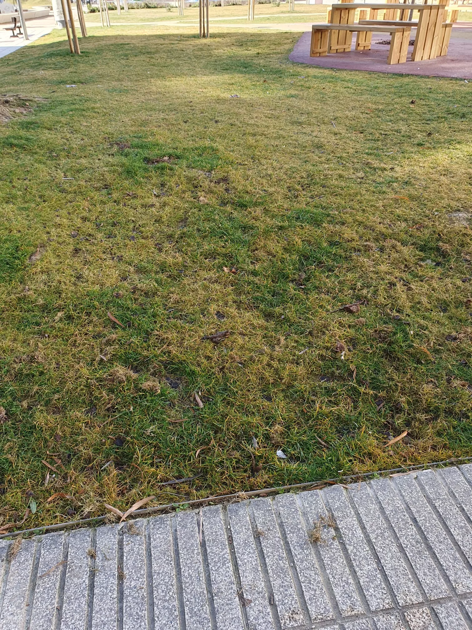 Parque de Torremendoza con los jardines llenos de heces