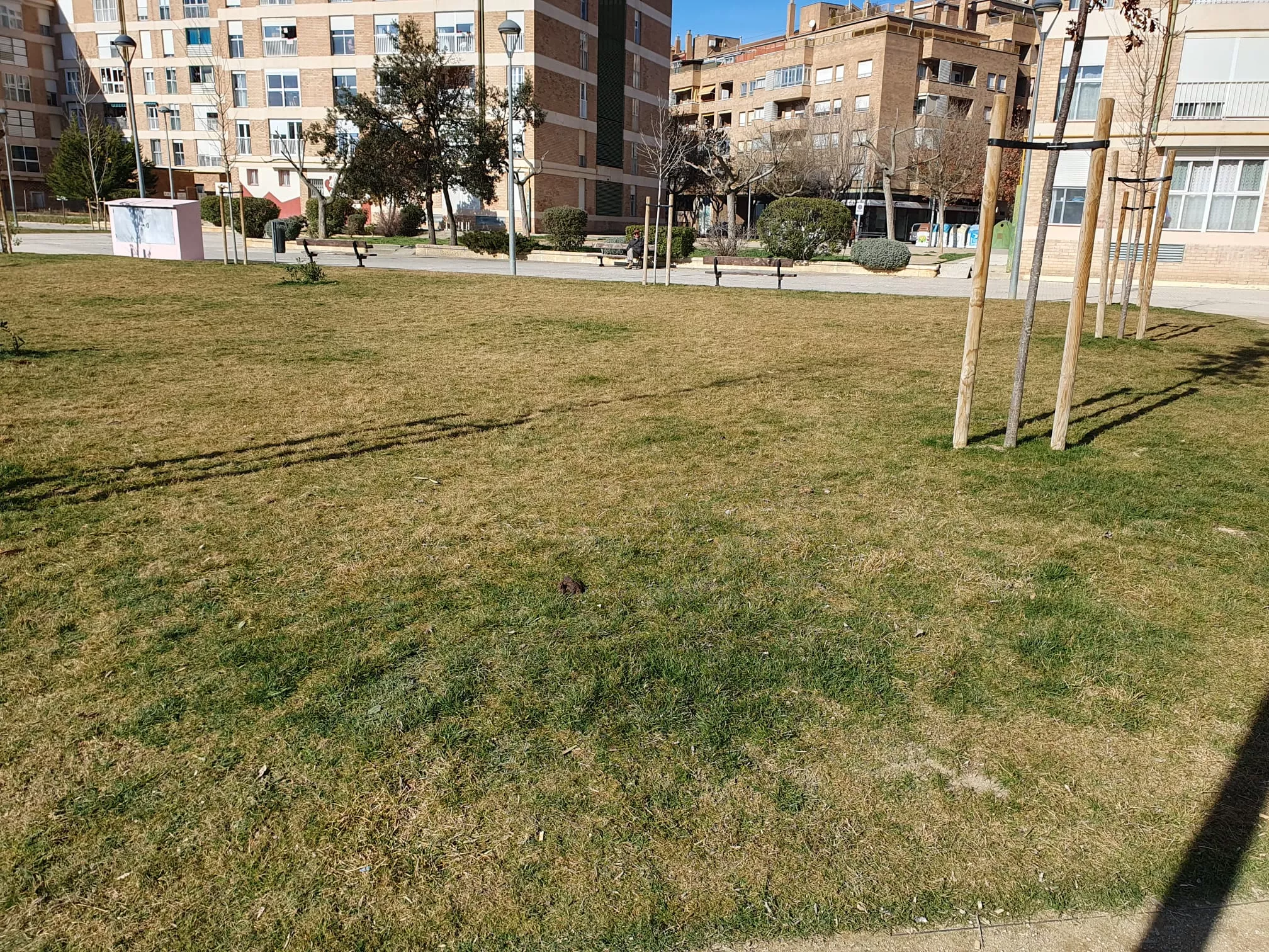 Parque de Torremendoza con los jardines llenos de heces