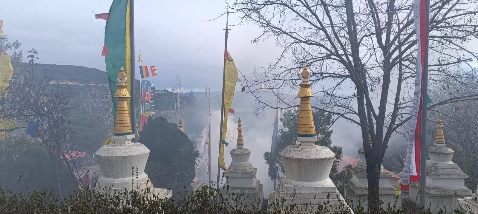 Panillo celebra la llegada del nuevo año tibarano.