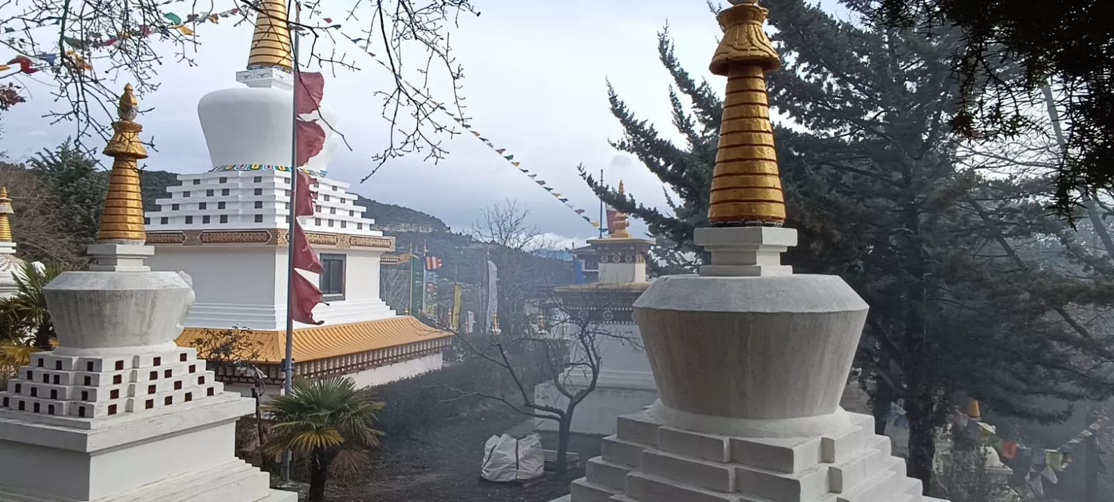 Panillo celebra la llegada del nuevo año tibarano.